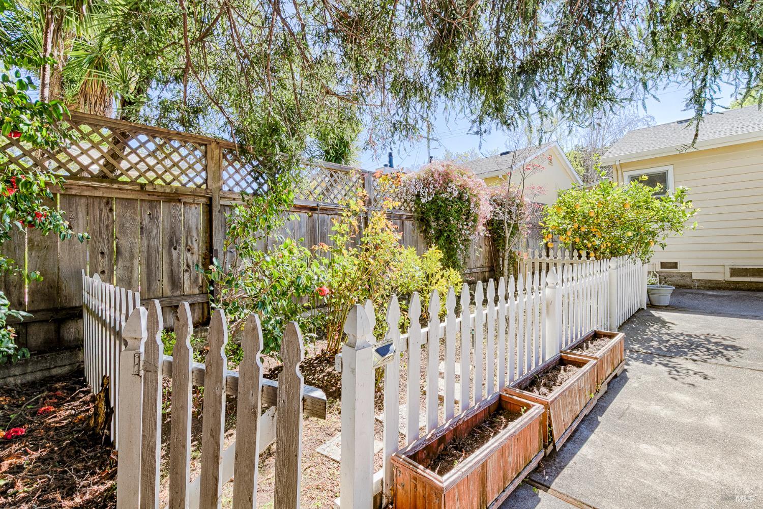 41 Meadow Avenue San Rafael, CA 94901 - Photo 50 of 55 Another view of the fenced garden.