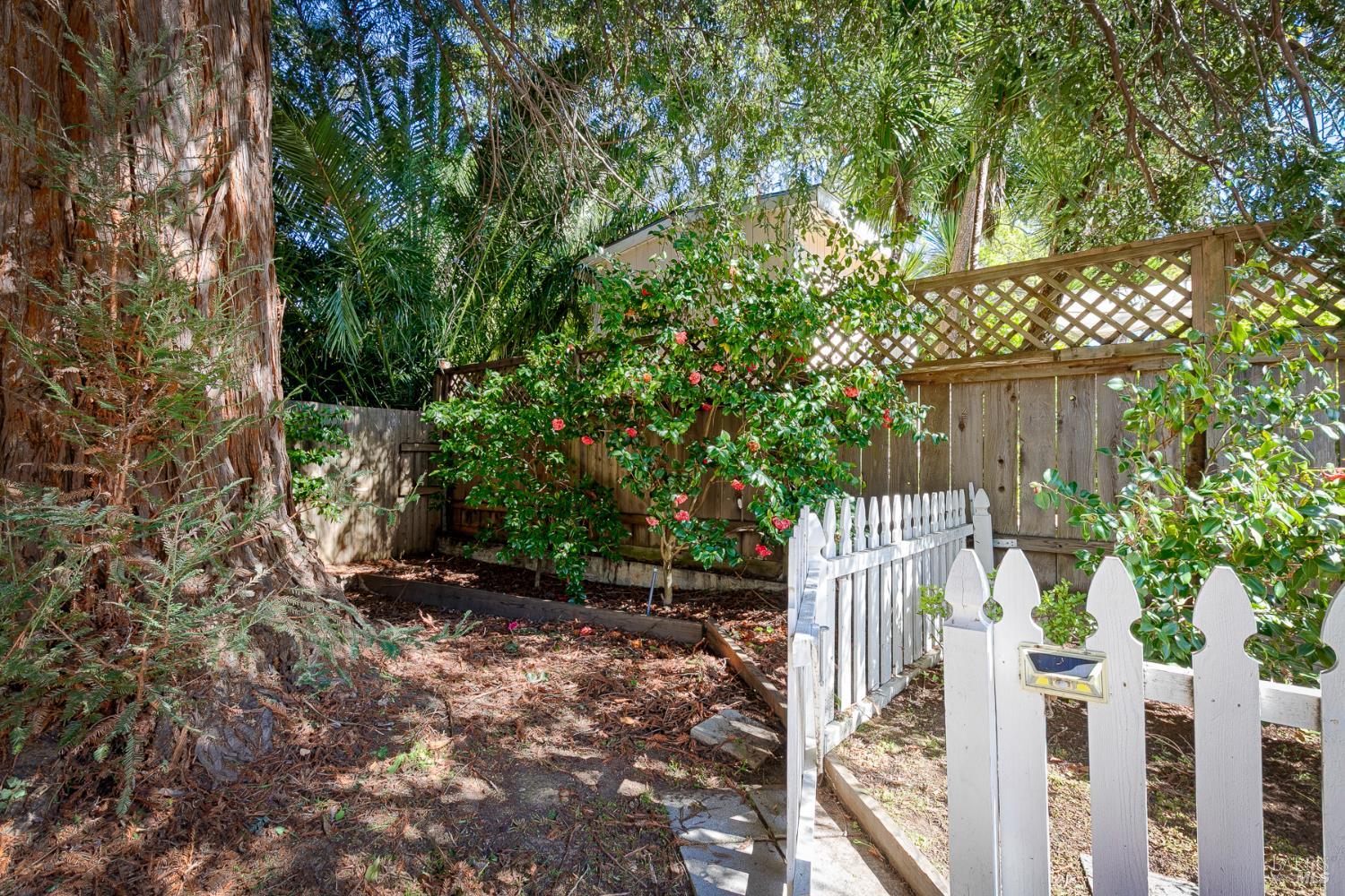 41 Meadow Avenue San Rafael, CA 94901 - Photo 53 of 55