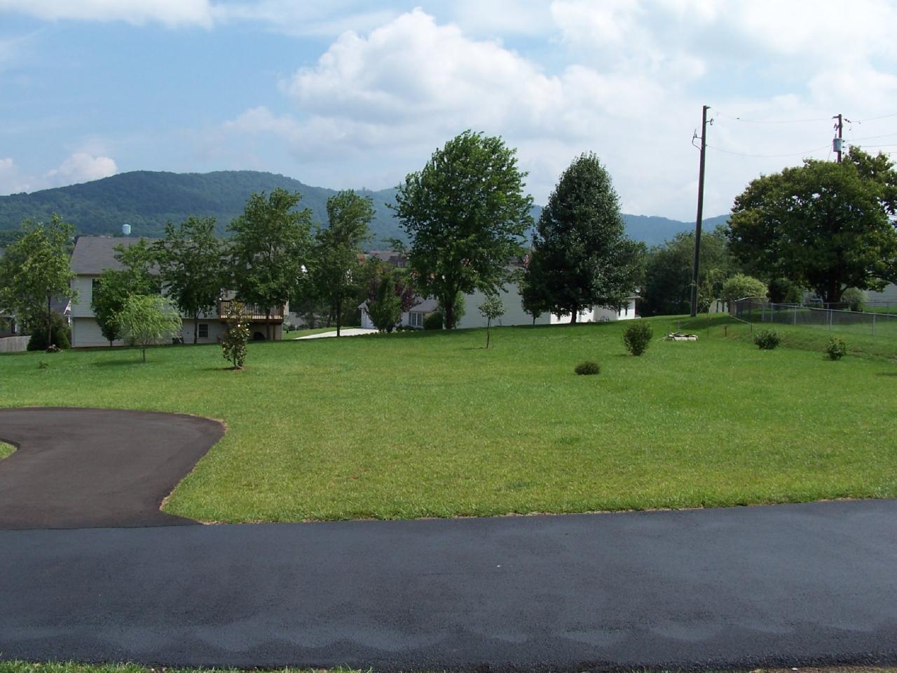 1270 Ruddell Road Vinton, VA 24179 - Photo 4 of 7 Backyard