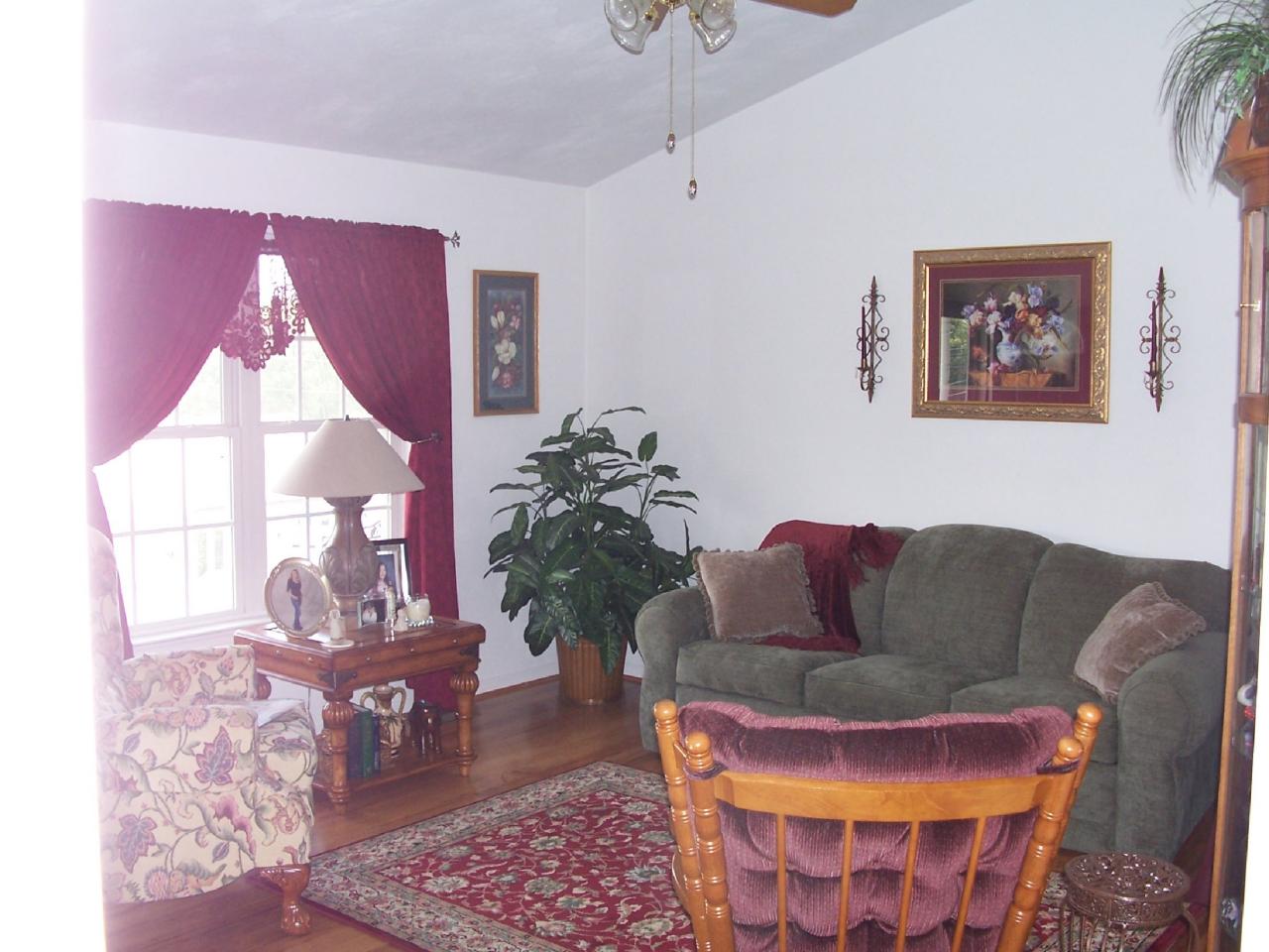 1270 Ruddell Road Vinton, VA 24179 - Photo 7 of 7 Living Room