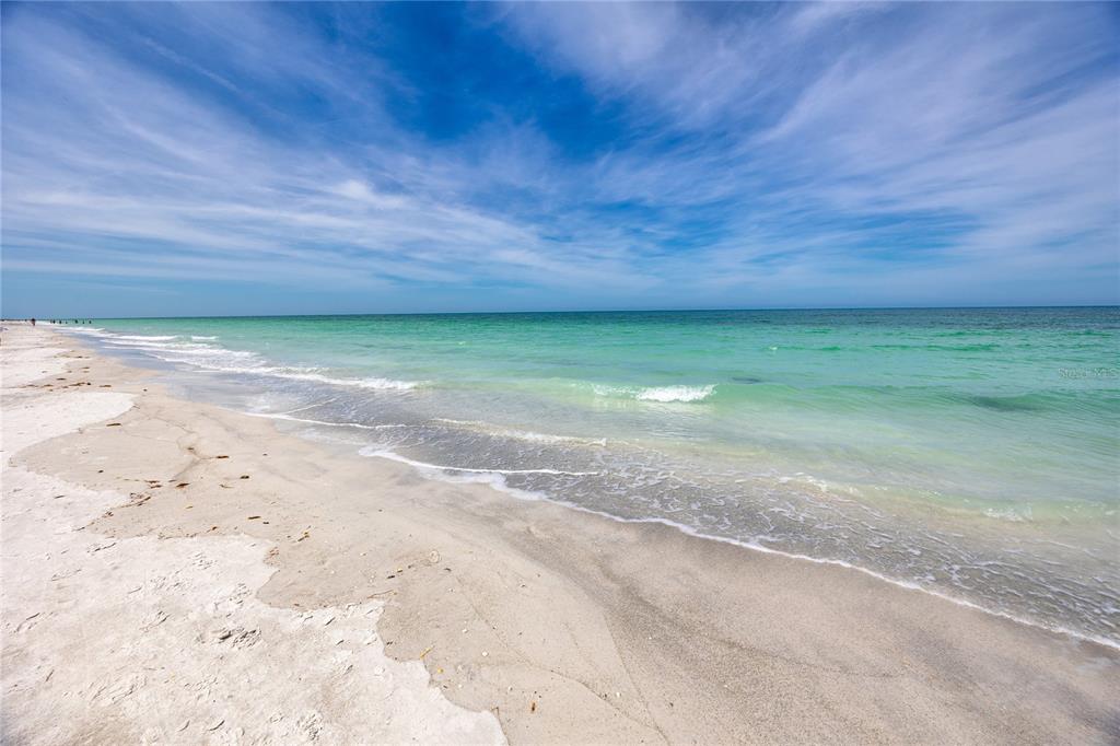 50 Gulf Boulevard, Unit 108 Indian Rocks Beach, FL 33785 - Photo 42 of 48