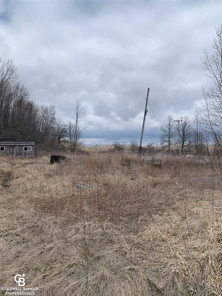 0 Oatman Road Avoca, MI 48006 - Photo 6 of 6