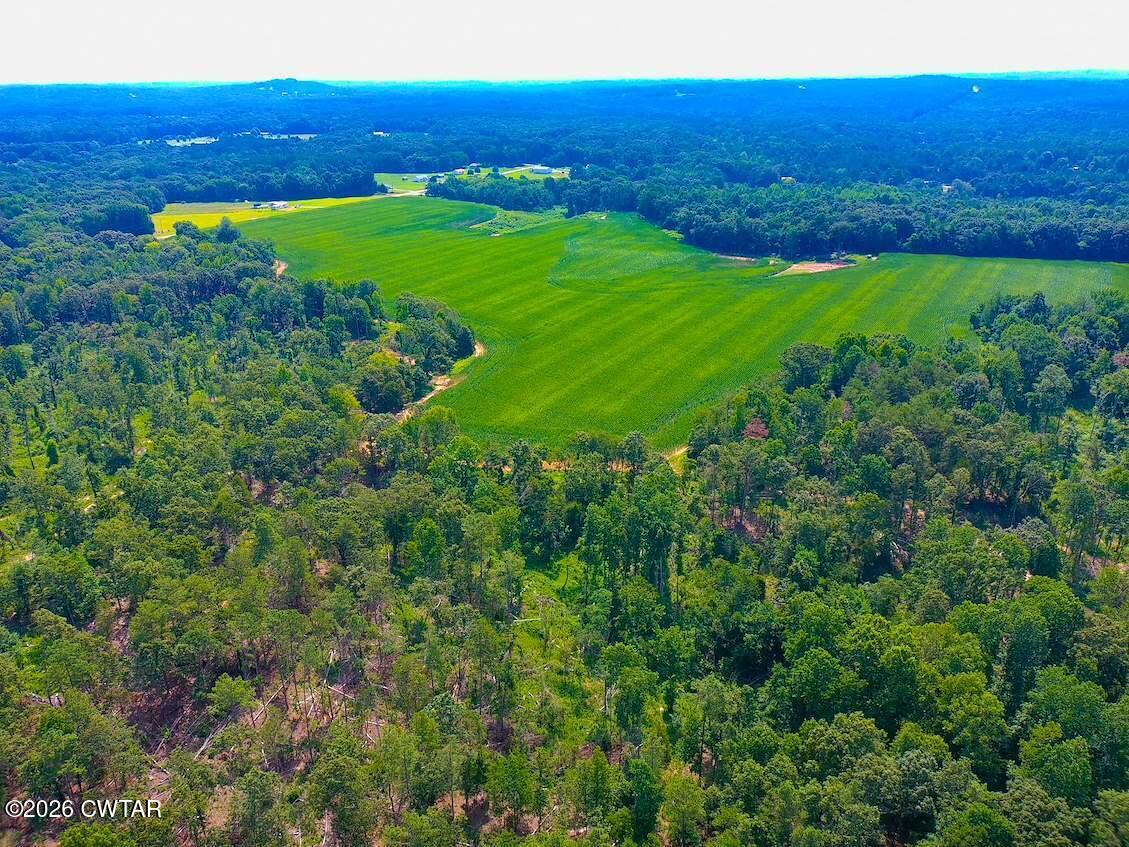 0 State Route South Henderson, TN 38340 - Photo 6 of 12 thumbnail (5)
