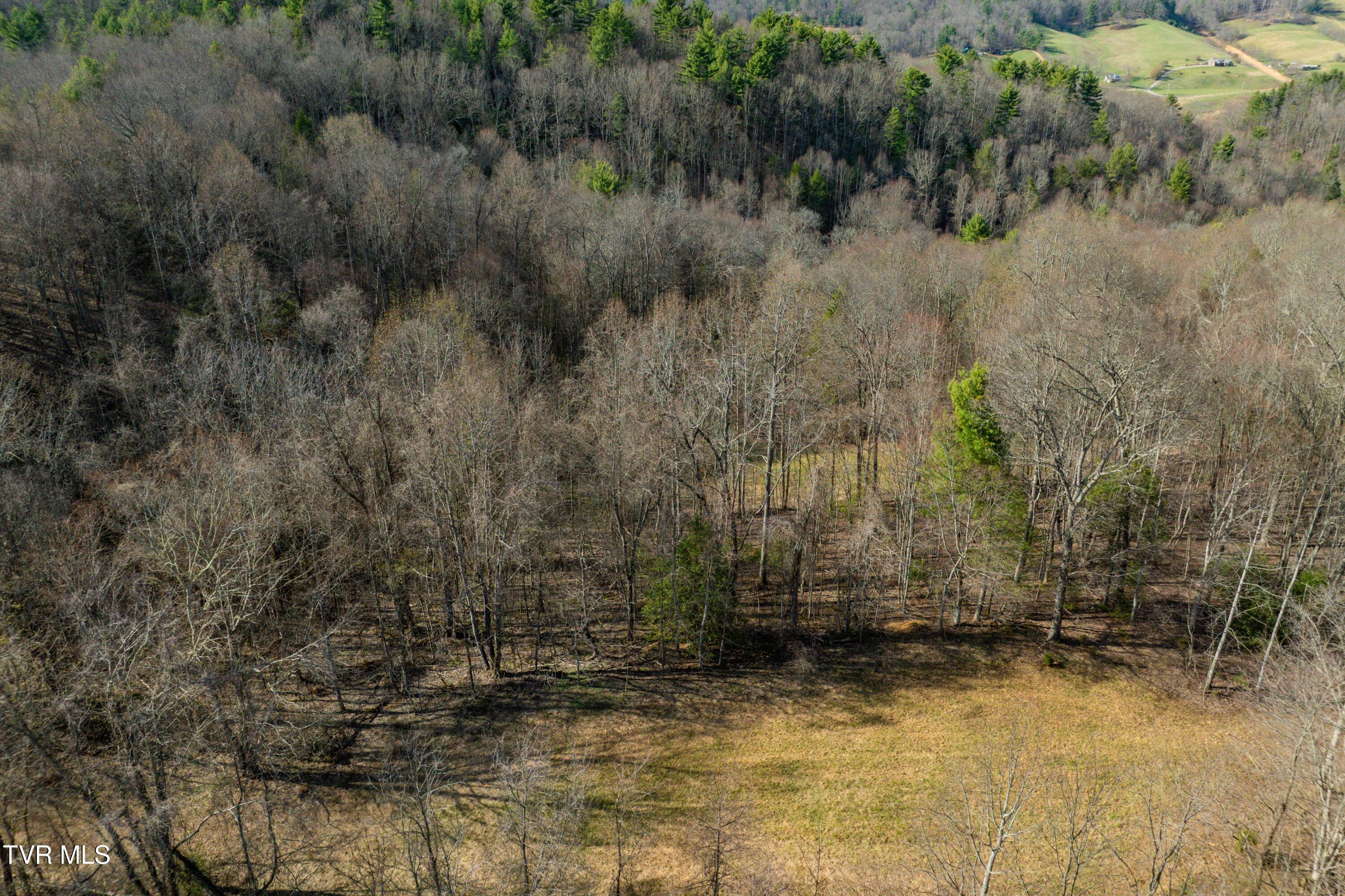 Tbd Big Dry Run Road Mountain City, TN 37683 - Photo 18 of 43 TBD Big Dry Run Rd (18)