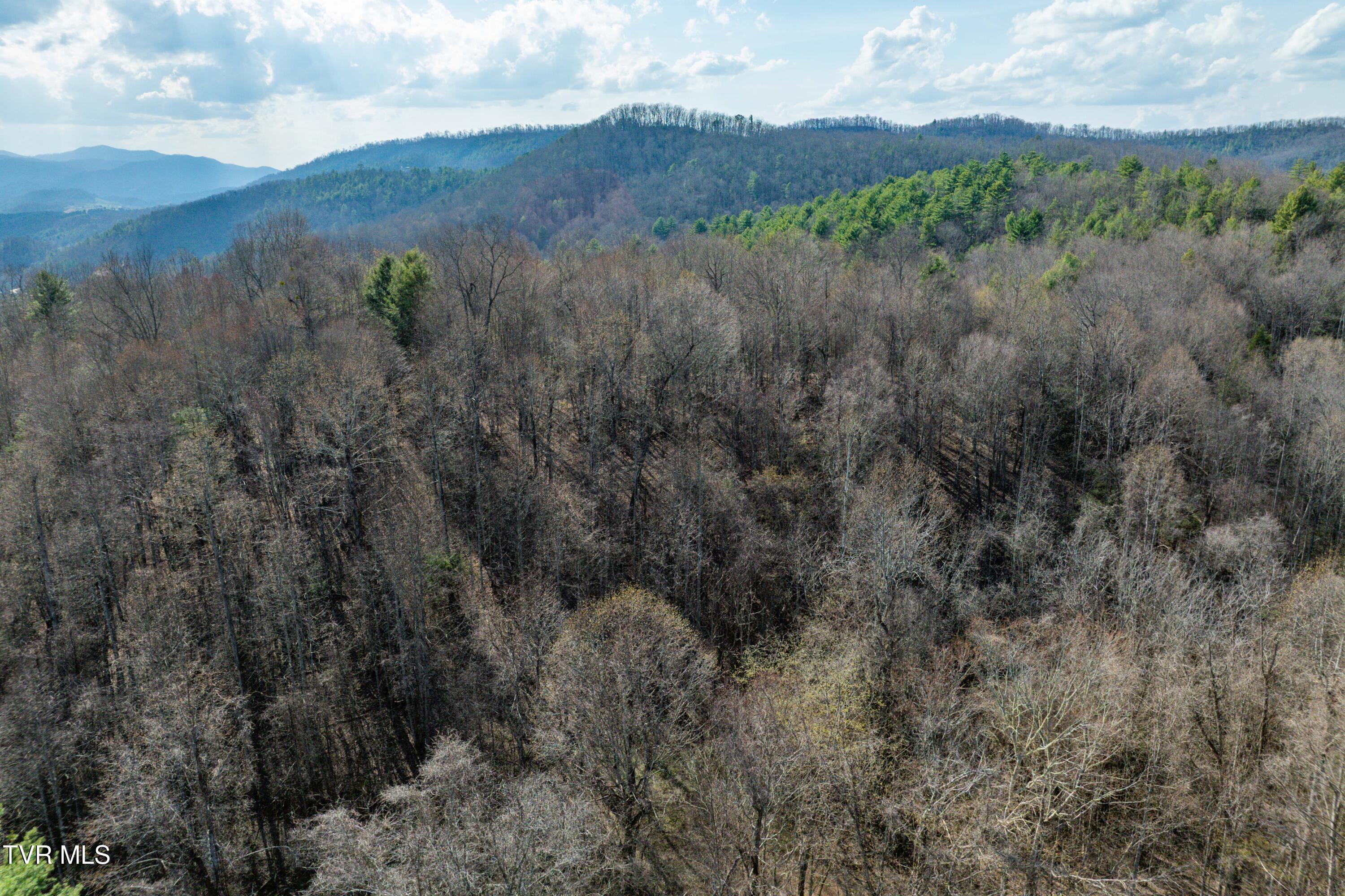 Tbd Big Dry Run Road Mountain City, TN 37683 - Photo 19 of 43 TBD Big Dry Run Rd (19)