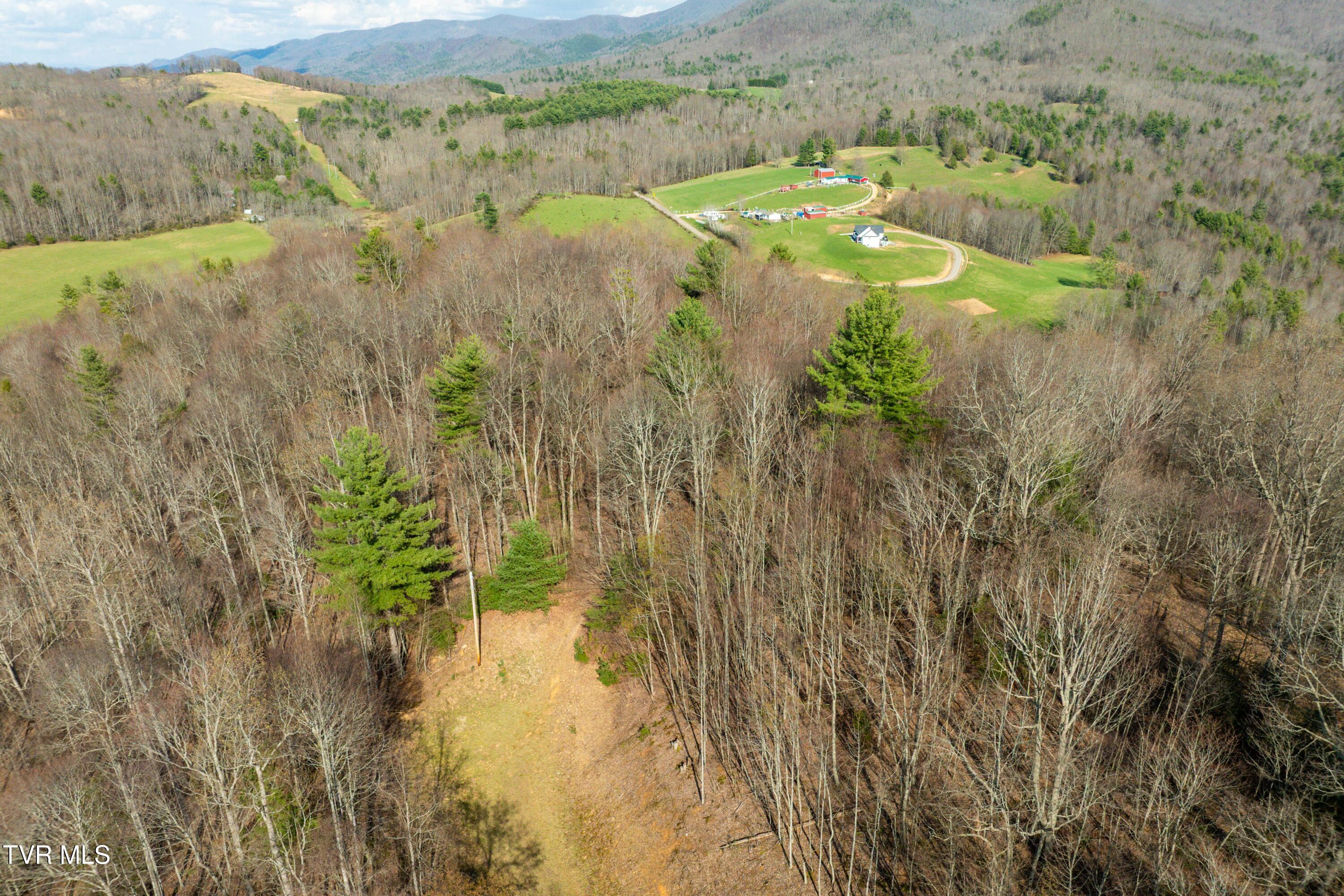 Tbd Big Dry Run Road Mountain City, TN 37683 - Photo 21 of 43 TBD Big Dry Run Rd (21)
