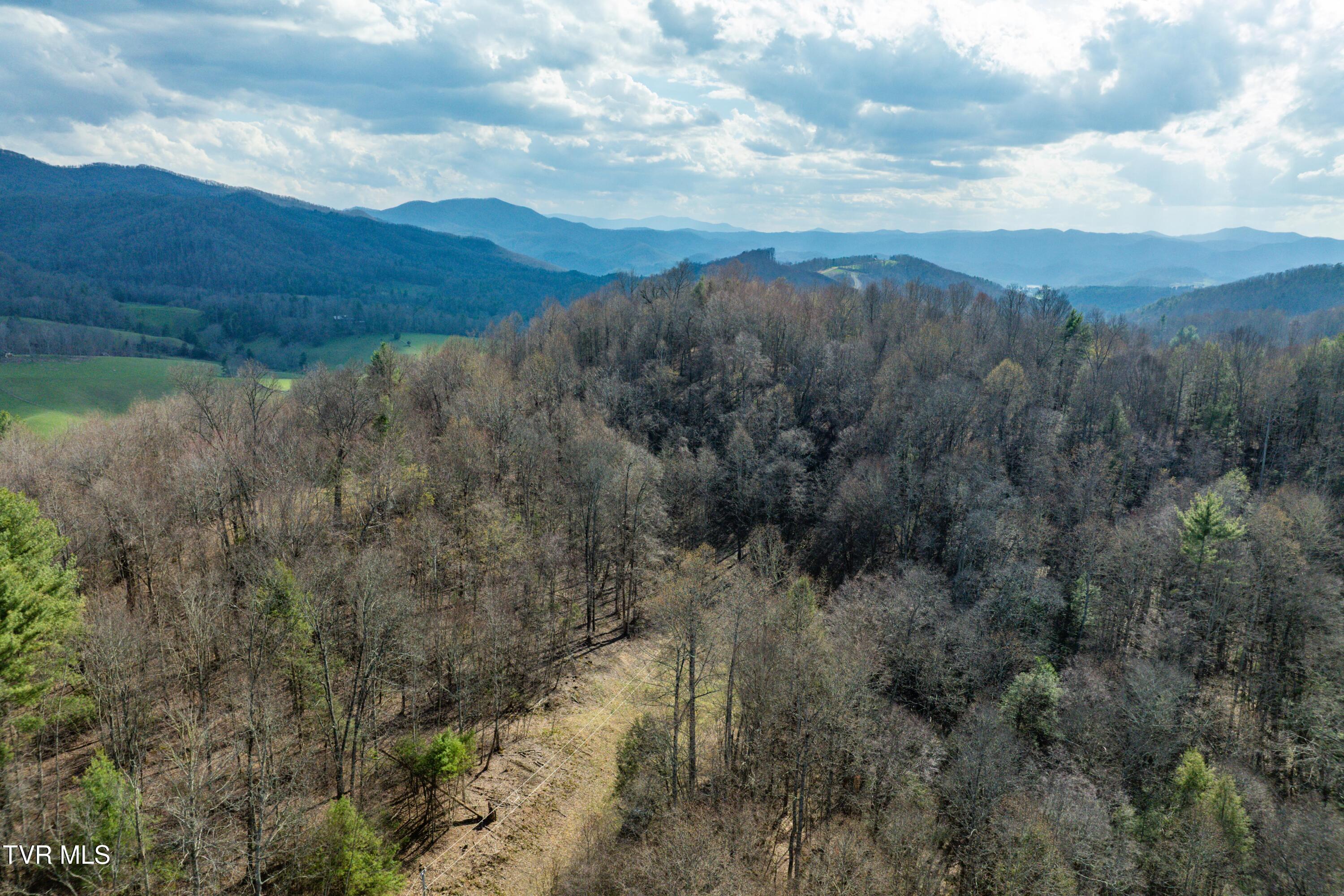 Tbd Big Dry Run Road Mountain City, TN 37683 - Photo 22 of 43 TBD Big Dry Run Rd (22)