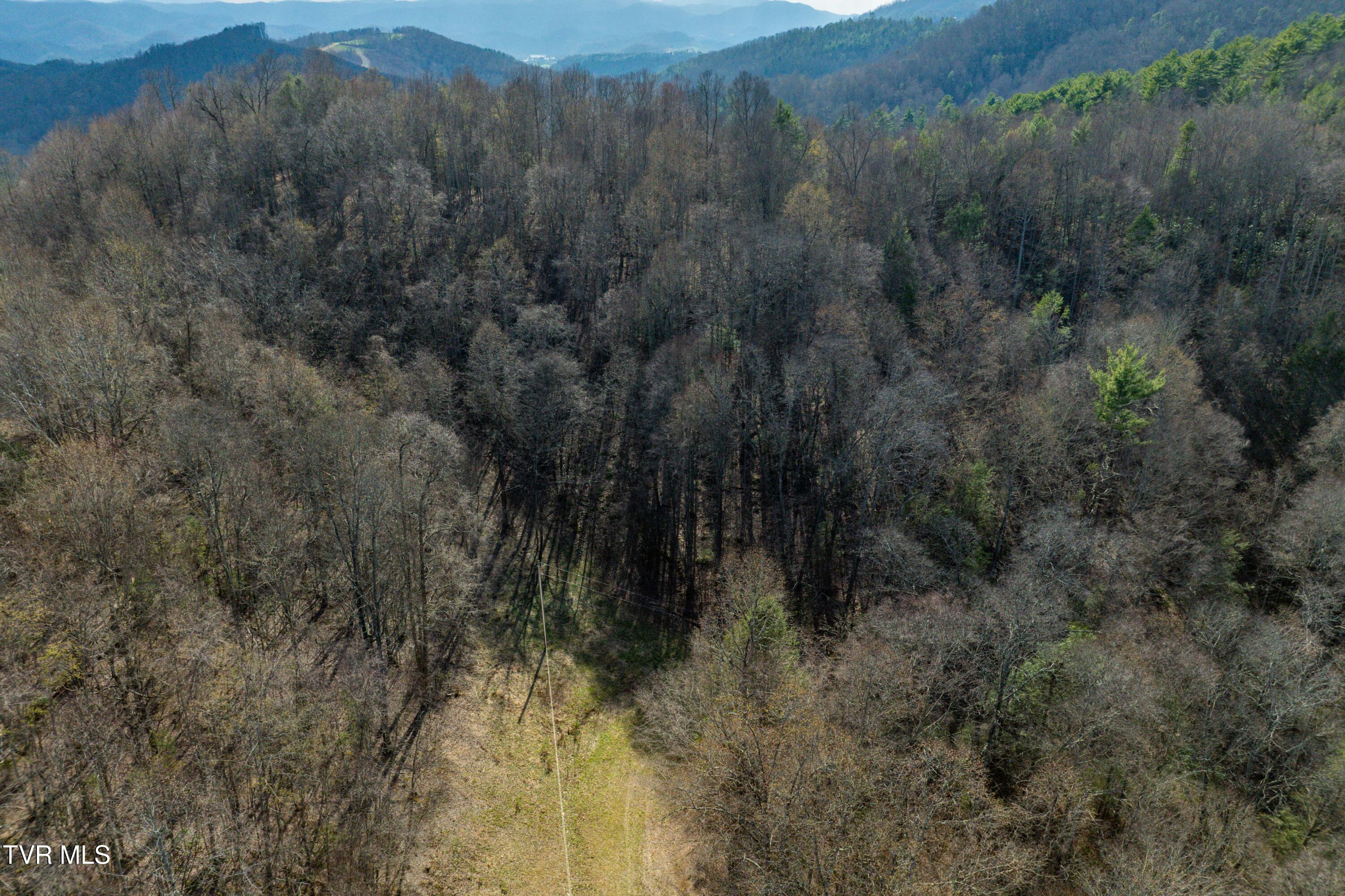 Tbd Big Dry Run Road Mountain City, TN 37683 - Photo 23 of 43 TBD Big Dry Run Rd (23)