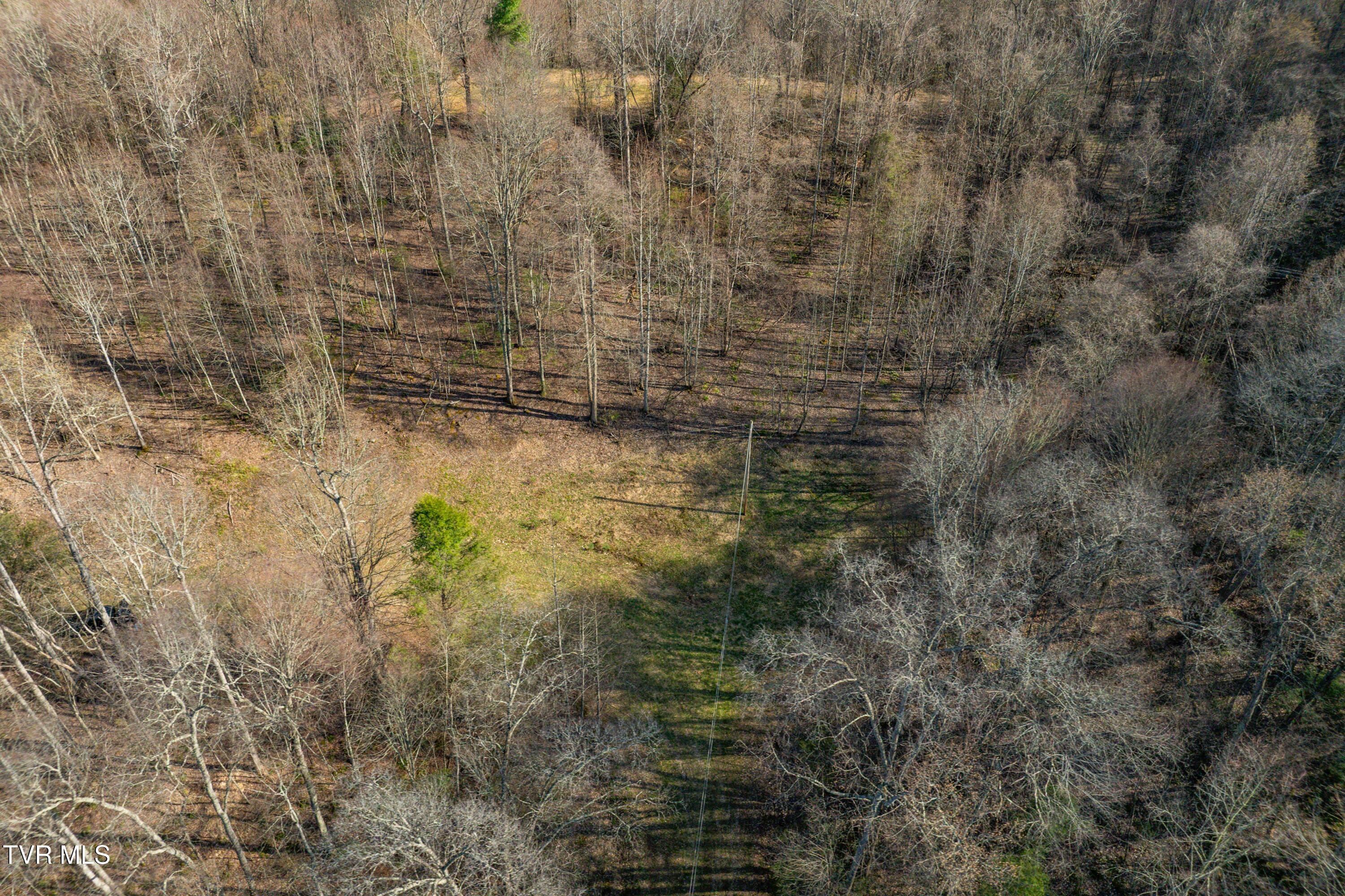 Tbd Big Dry Run Road Mountain City, TN 37683 - Photo 24 of 43 TBD Big Dry Run Rd (24)
