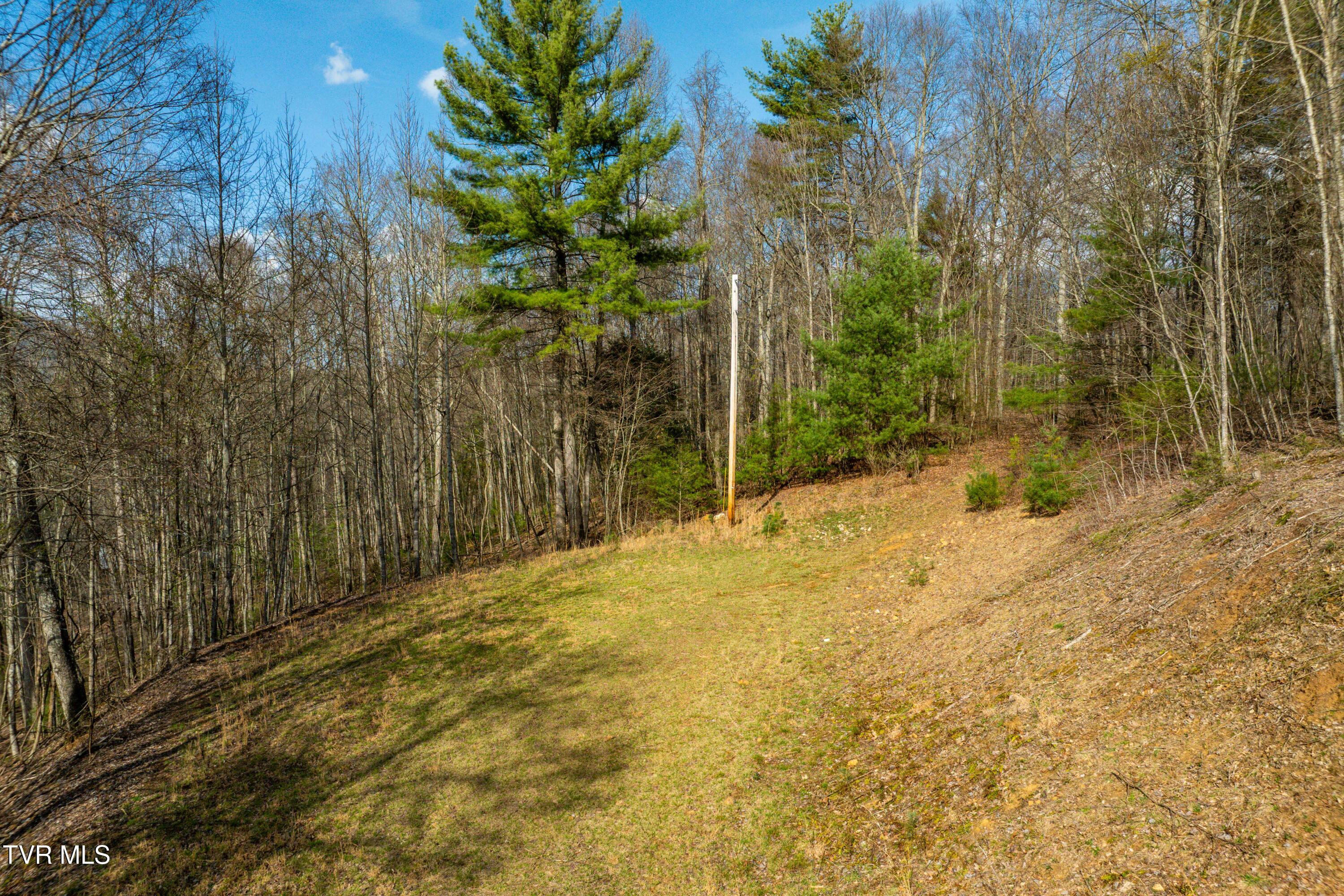 Tbd Big Dry Run Road Mountain City, TN 37683 - Photo 25 of 43 TBD Big Dry Run Rd (25)