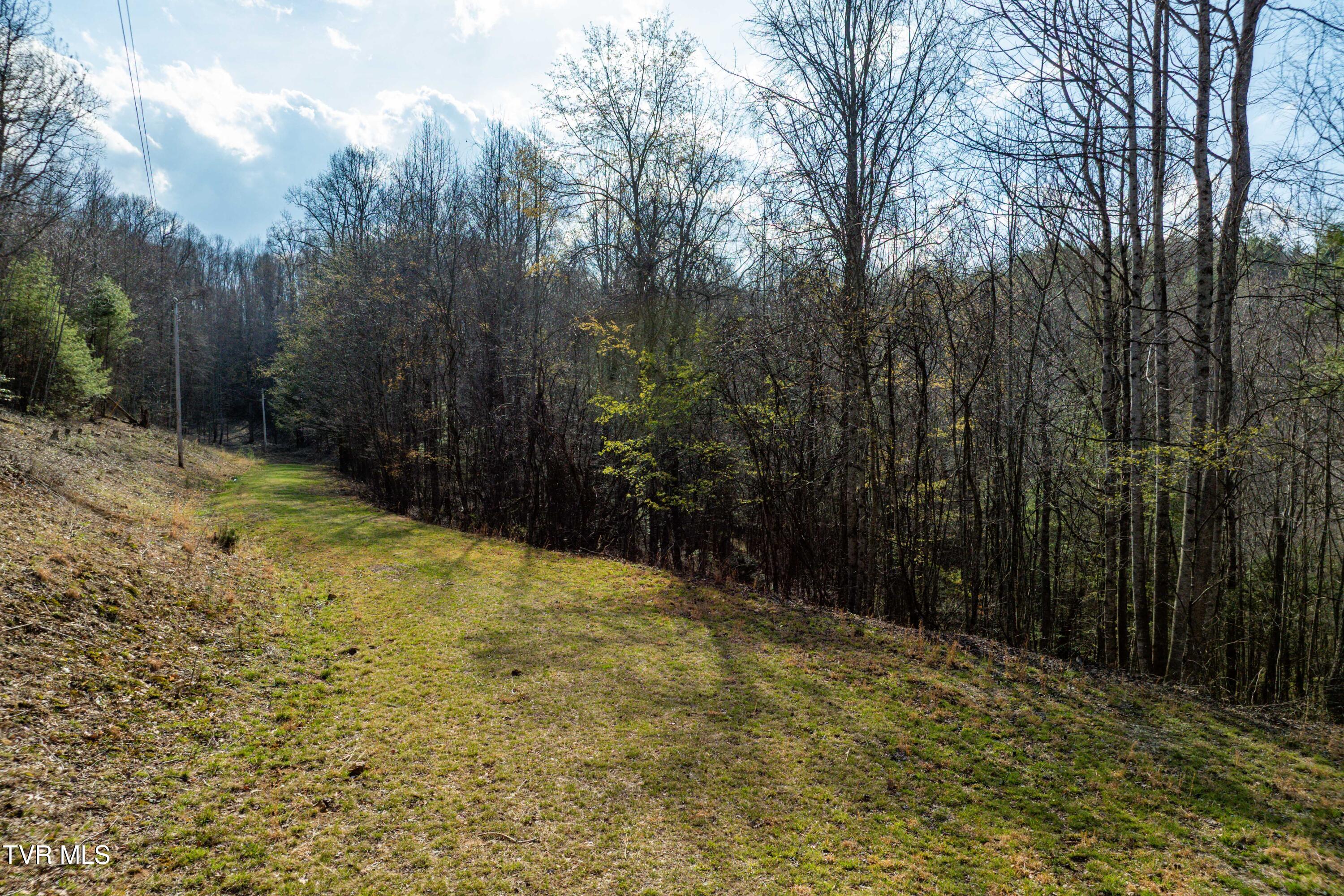 Tbd Big Dry Run Road Mountain City, TN 37683 - Photo 26 of 43 TBD Big Dry Run Rd (26)