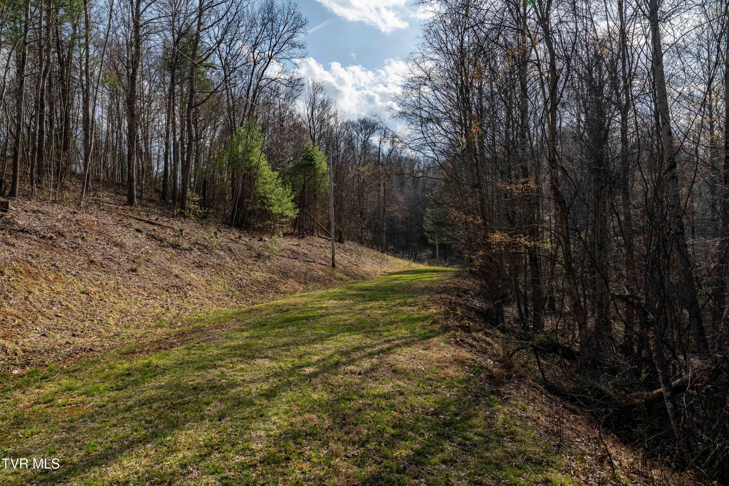 Tbd Big Dry Run Road Mountain City, TN 37683 - Photo 27 of 43 TBD Big Dry Run Rd (27)