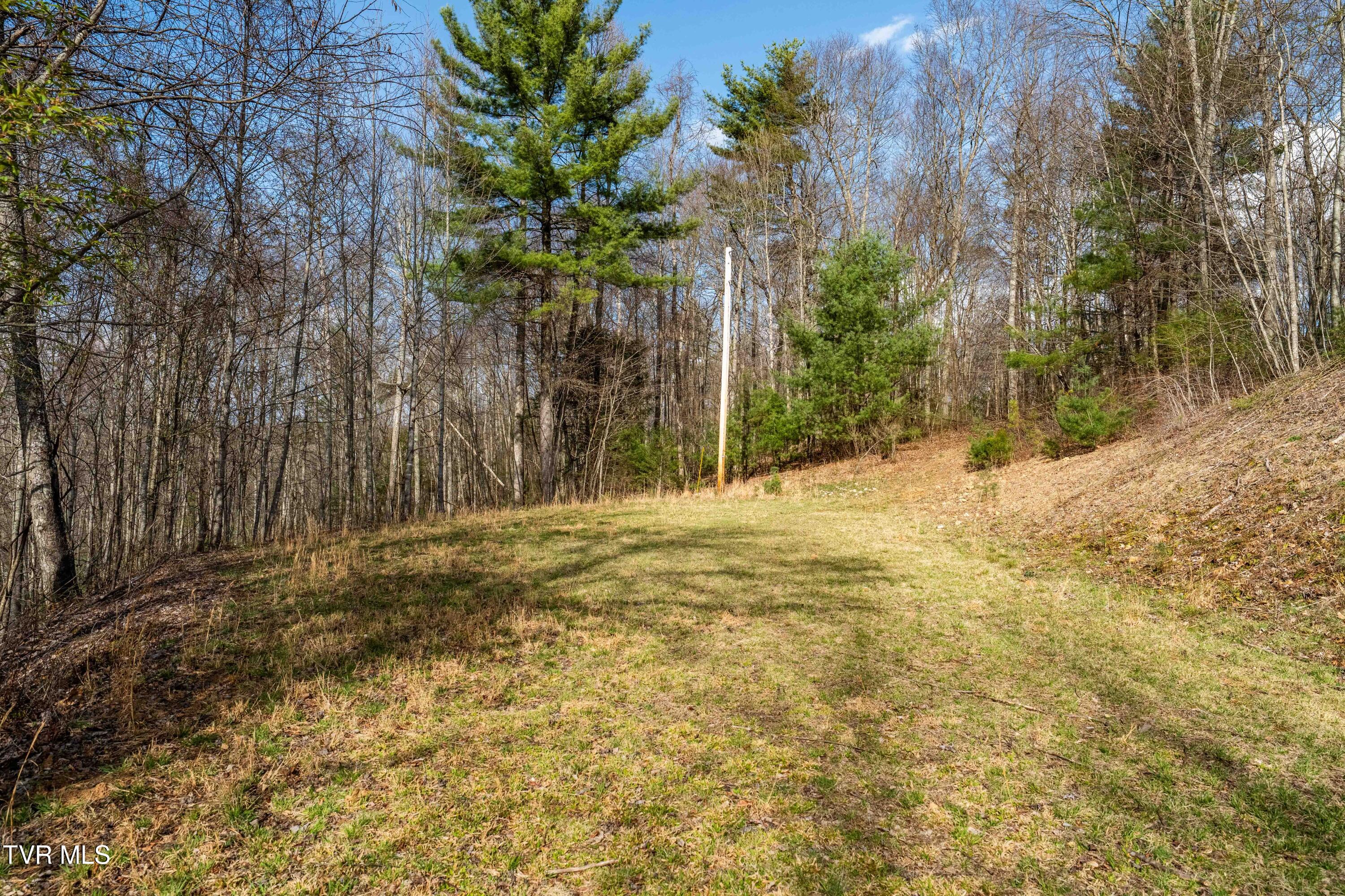 Tbd Big Dry Run Road Mountain City, TN 37683 - Photo 28 of 43 TBD Big Dry Run Rd (28)
