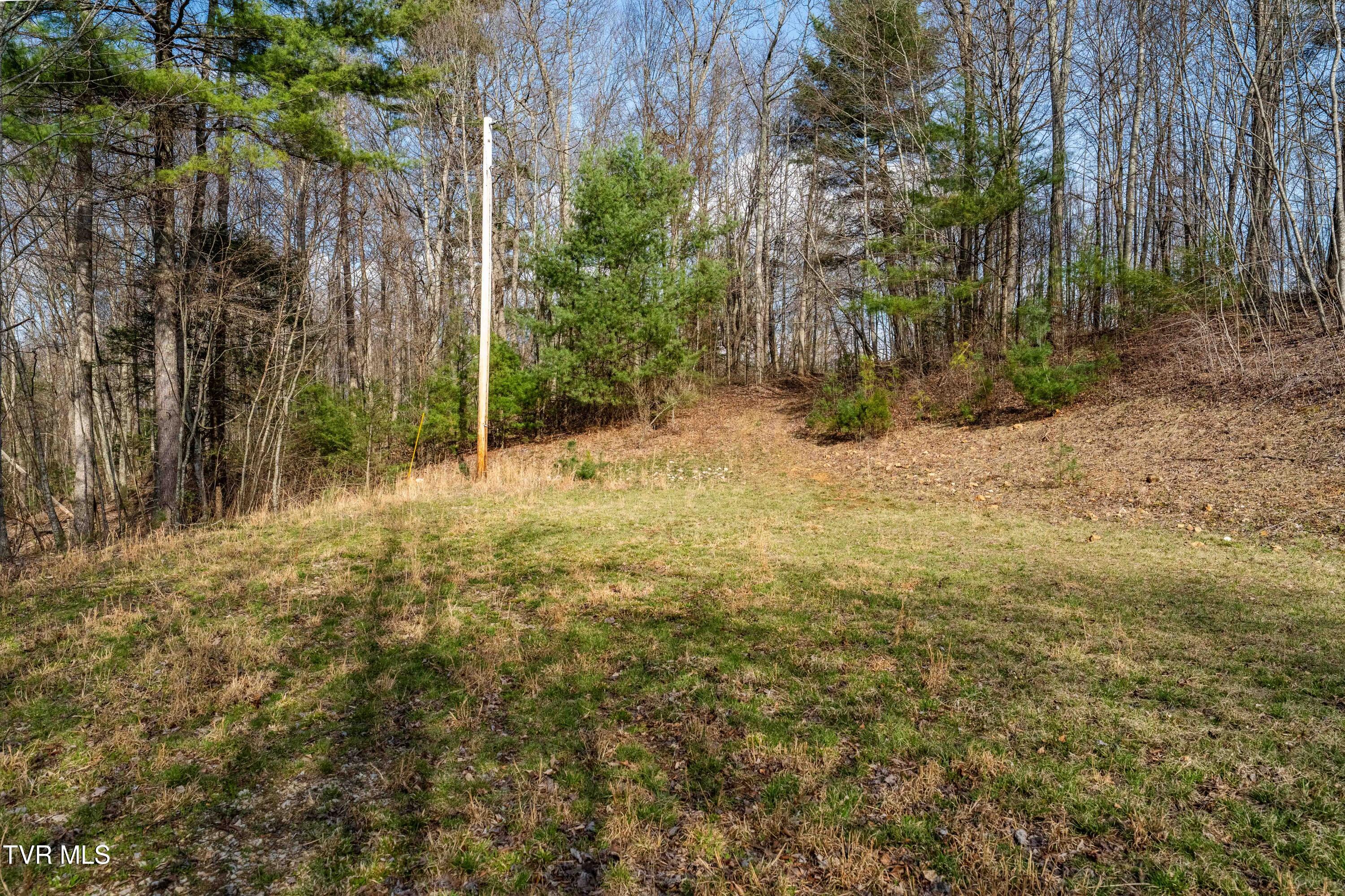 Tbd Big Dry Run Road Mountain City, TN 37683 - Photo 29 of 43 TBD Big Dry Run Rd (29)