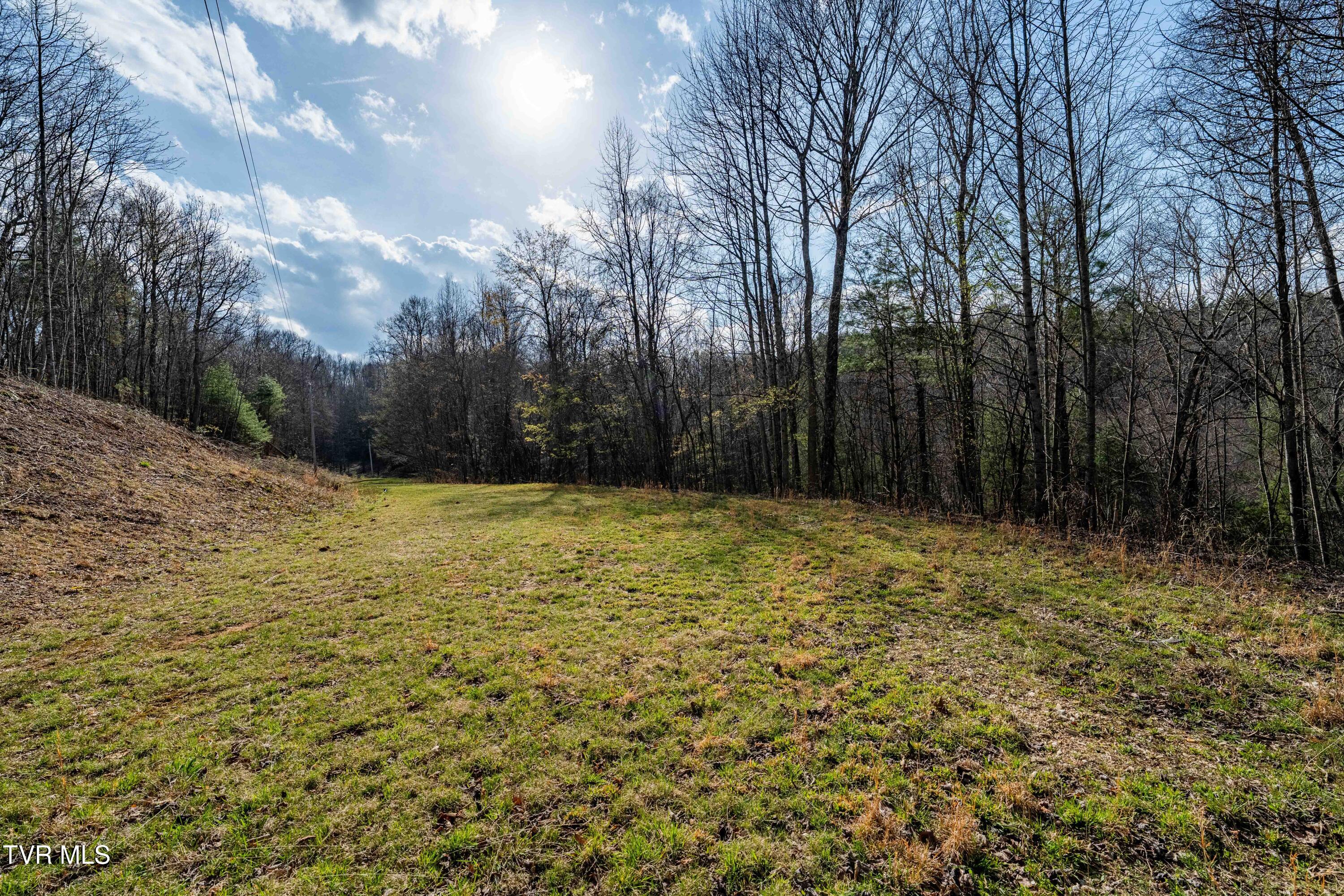 Tbd Big Dry Run Road Mountain City, TN 37683 - Photo 30 of 43 TBD Big Dry Run Rd (30)