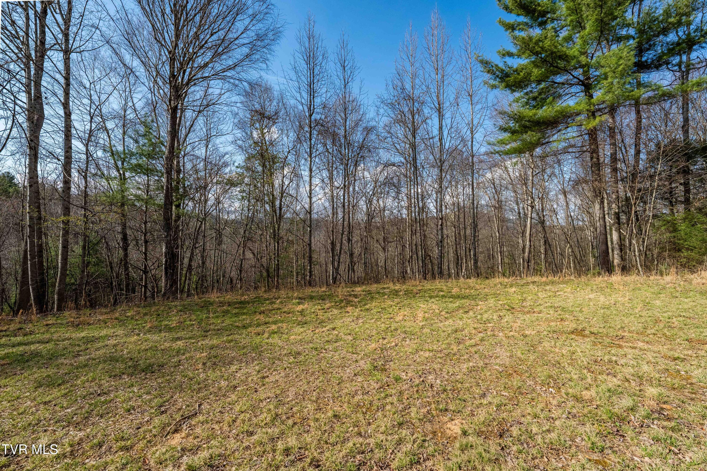 Tbd Big Dry Run Road Mountain City, TN 37683 - Photo 31 of 43 TBD Big Dry Run Rd (31)