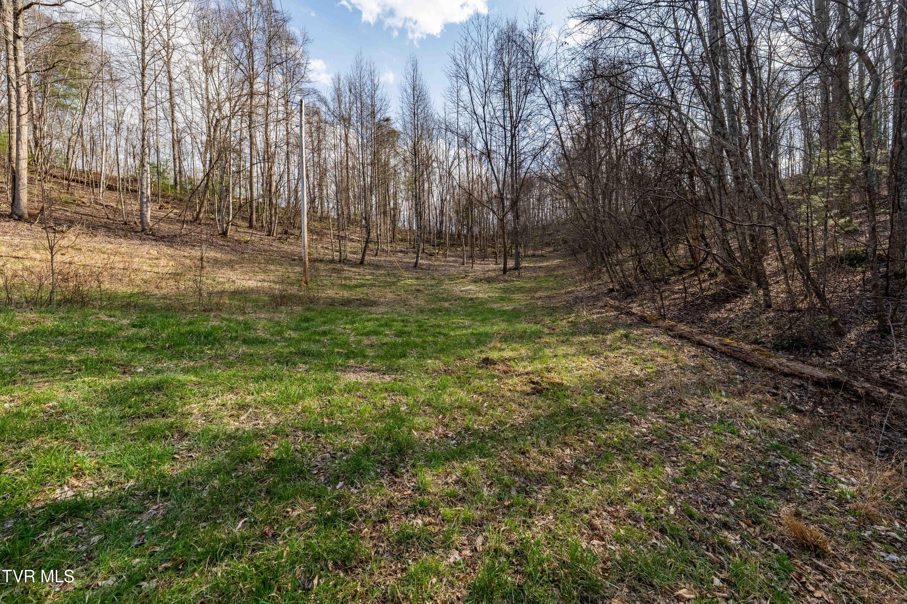 Tbd Big Dry Run Road Mountain City, TN 37683 - Photo 32 of 43 TBD Big Dry Run Rd (32)