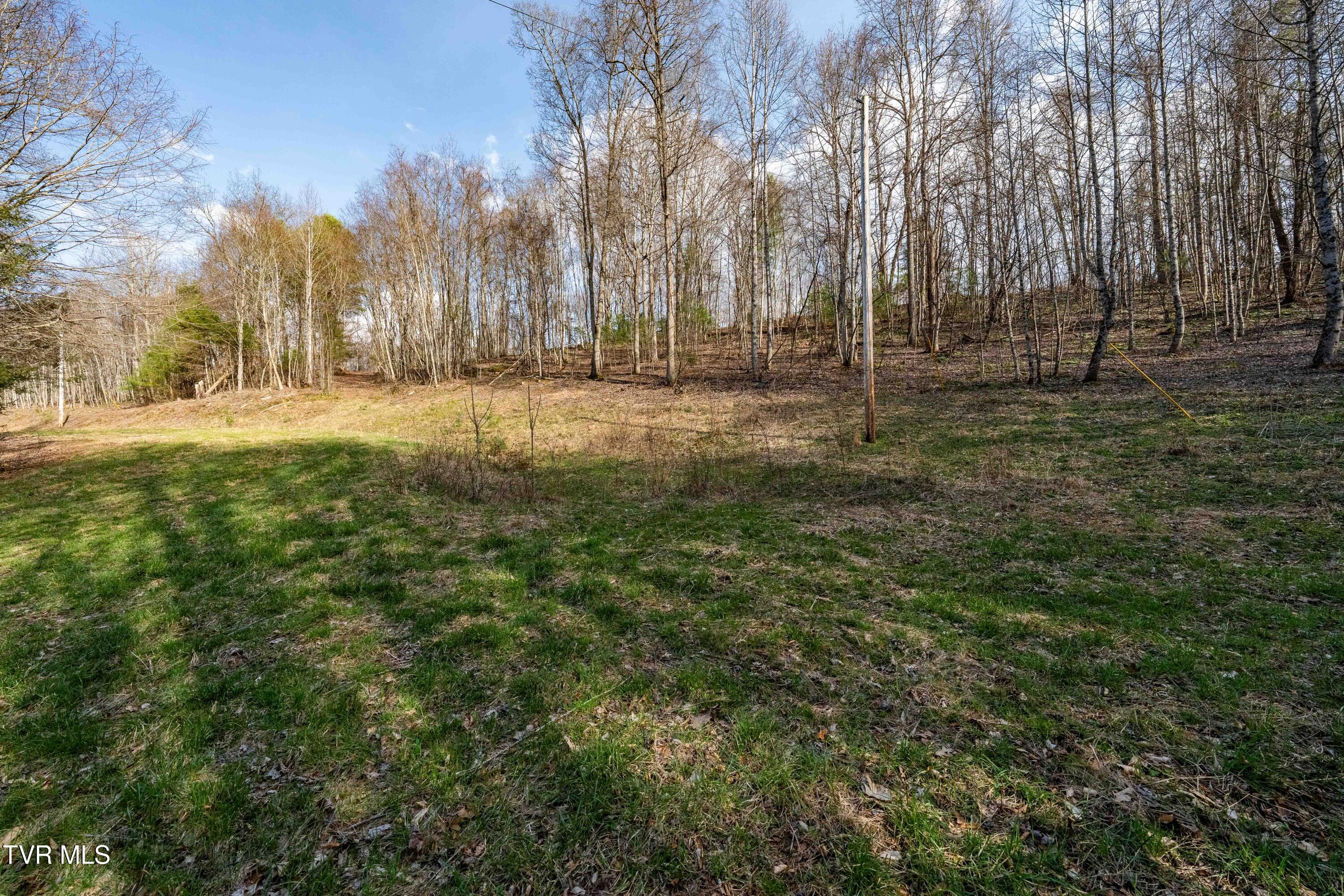 Tbd Big Dry Run Road Mountain City, TN 37683 - Photo 33 of 43 TBD Big Dry Run Rd (33)