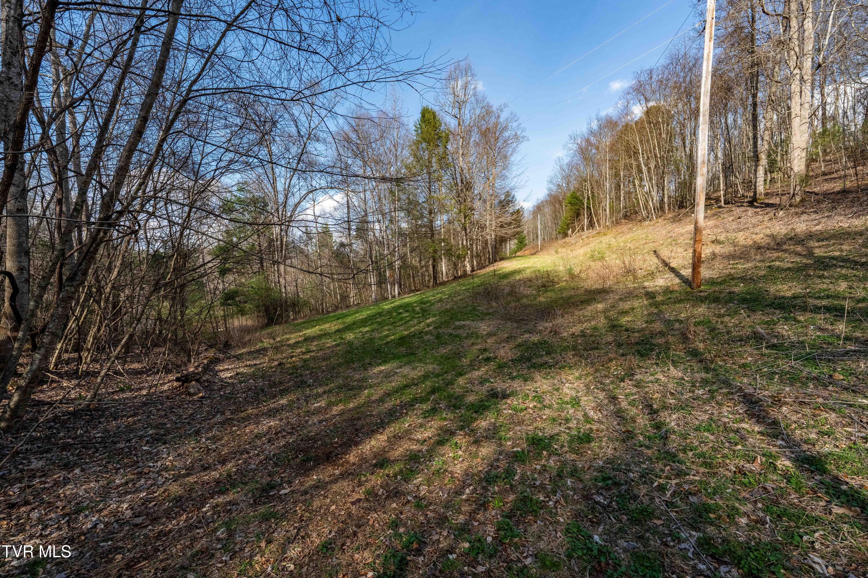 Tbd Big Dry Run Road Mountain City, TN 37683 - Photo 34 of 43 TBD Big Dry Run Rd (34)