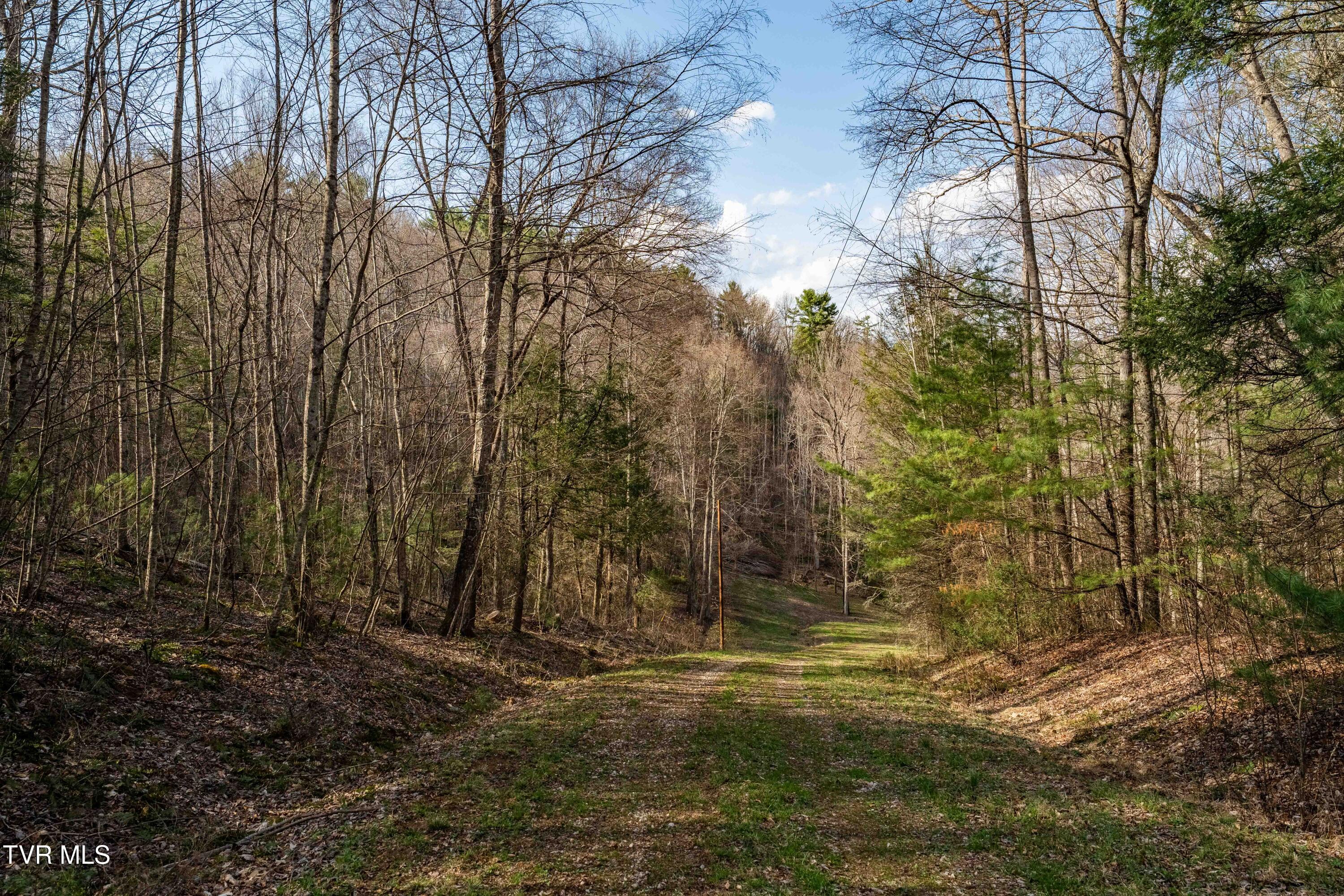 Tbd Big Dry Run Road Mountain City, TN 37683 - Photo 35 of 43 TBD Big Dry Run Rd (35)