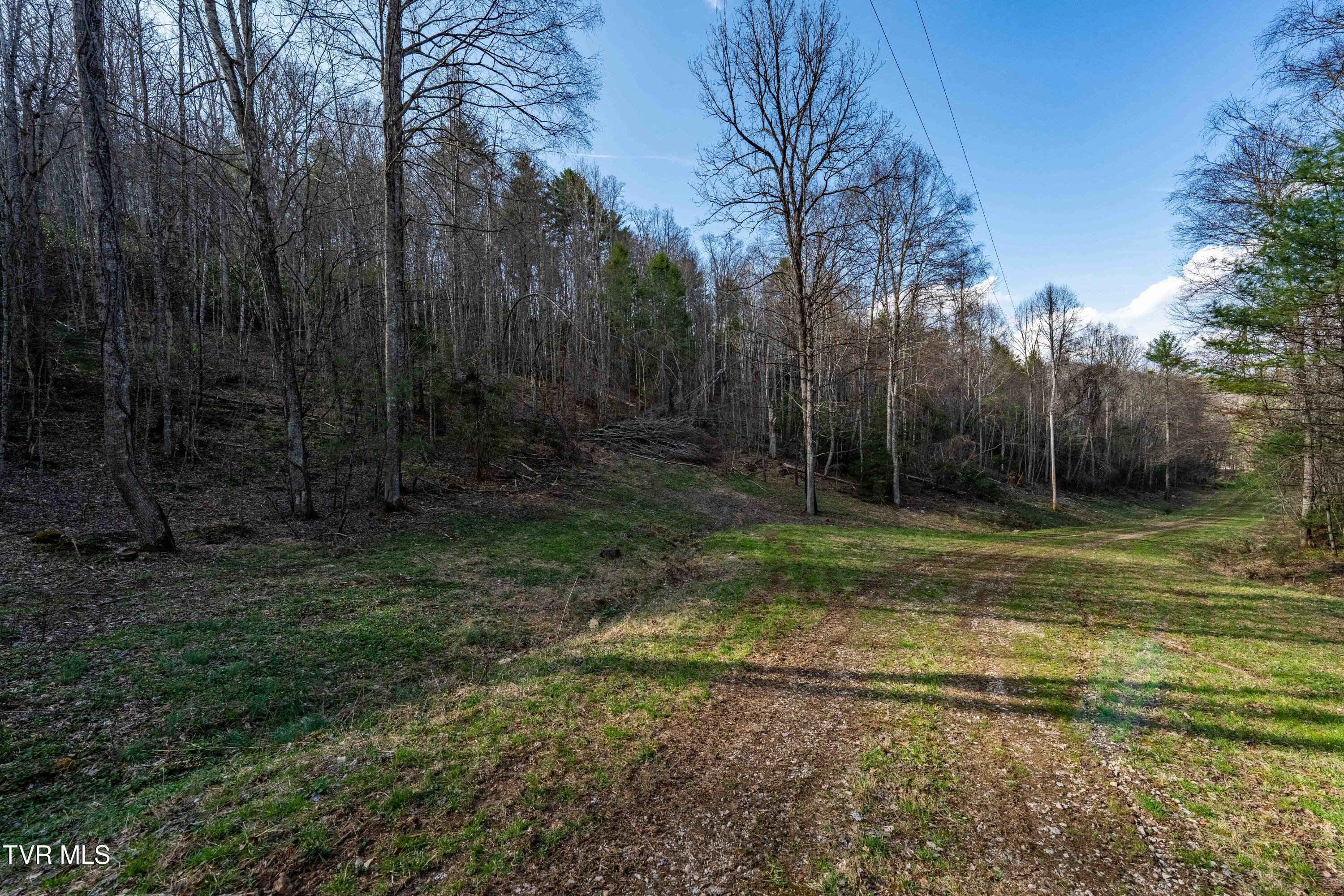 Tbd Big Dry Run Road Mountain City, TN 37683 - Photo 36 of 43 TBD Big Dry Run Rd (36)