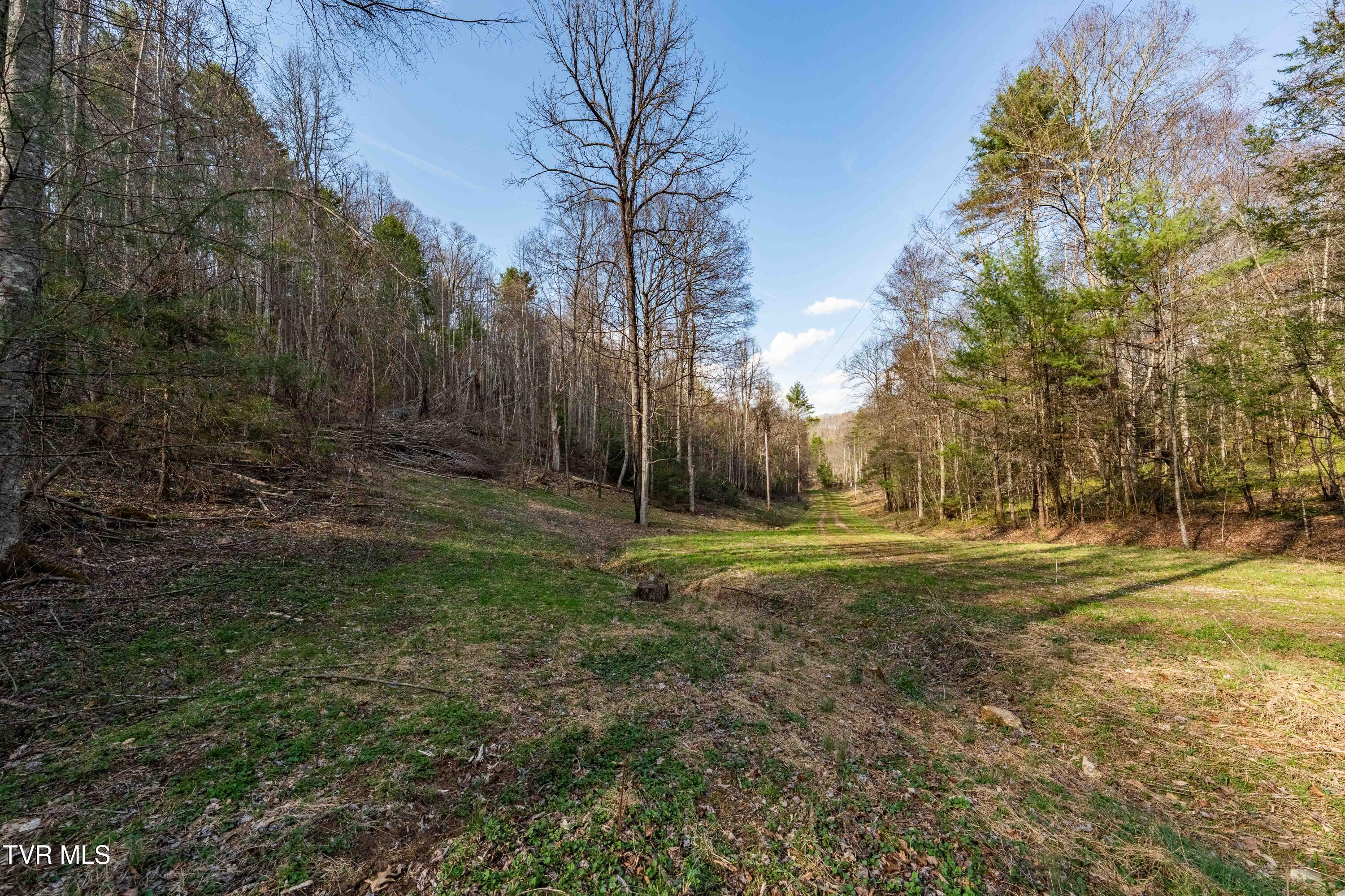 Tbd Big Dry Run Road Mountain City, TN 37683 - Photo 37 of 43 TBD Big Dry Run Rd (37)