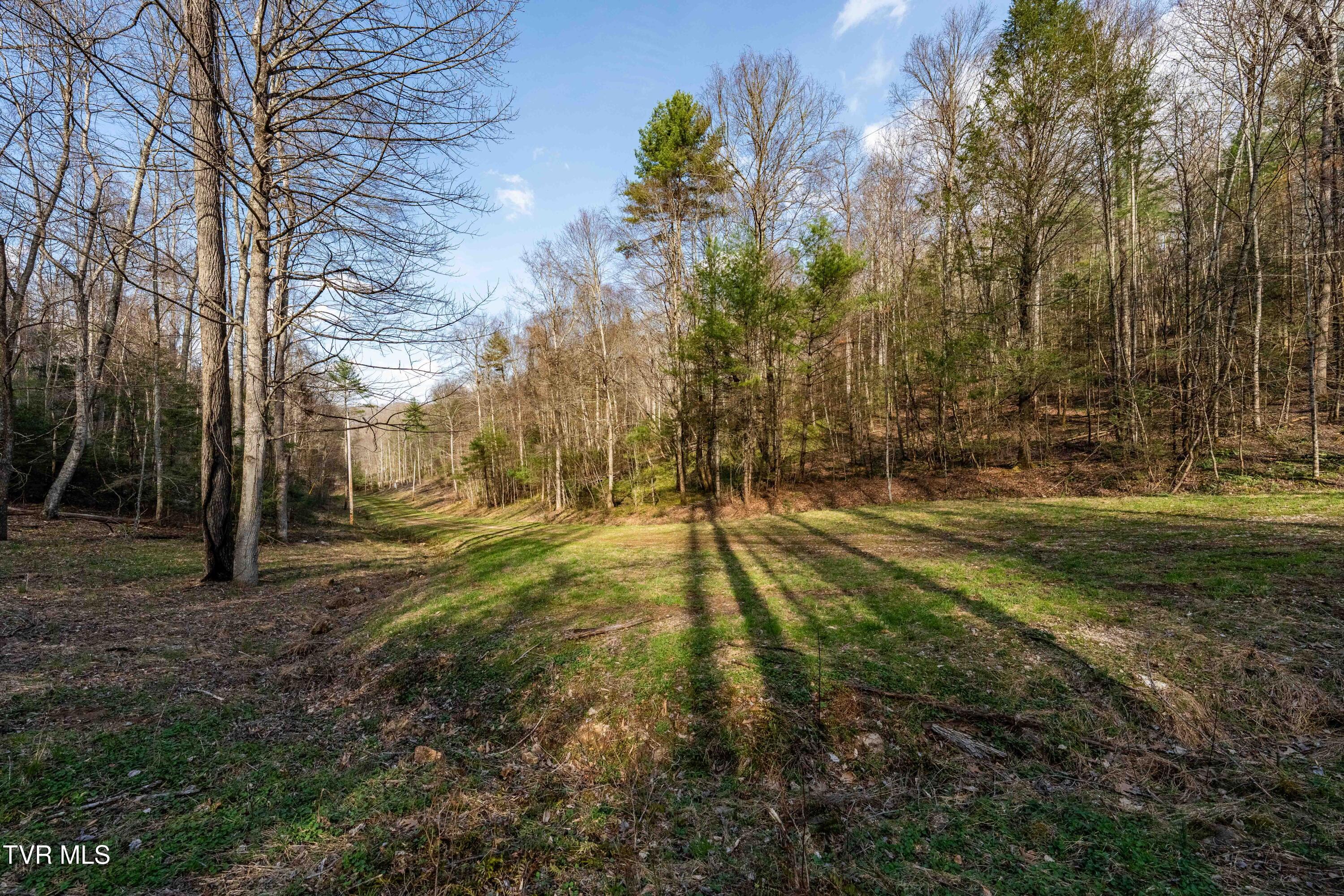 Tbd Big Dry Run Road Mountain City, TN 37683 - Photo 38 of 43 TBD Big Dry Run Rd (38)