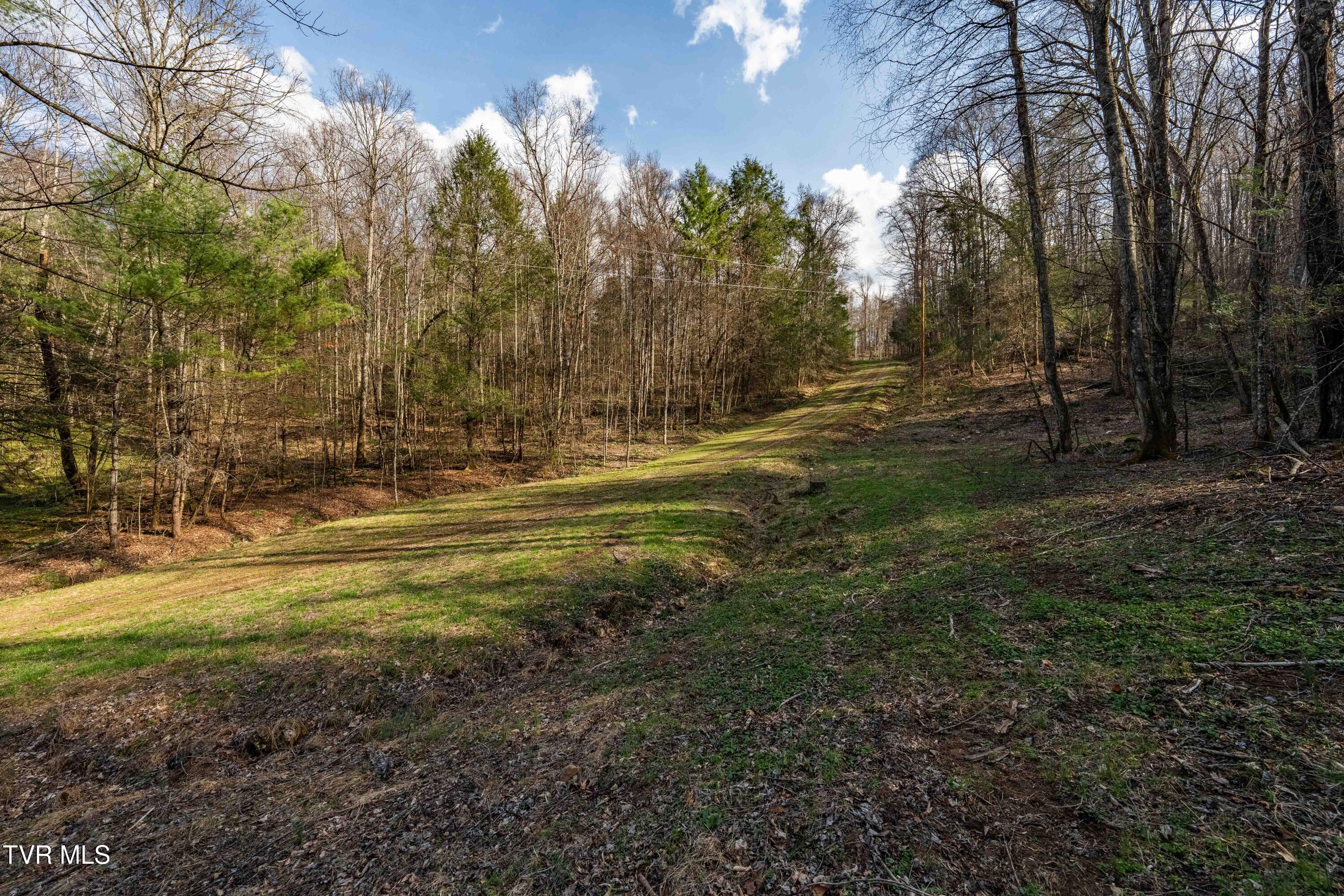 Tbd Big Dry Run Road Mountain City, TN 37683 - Photo 39 of 43 TBD Big Dry Run Rd (39)