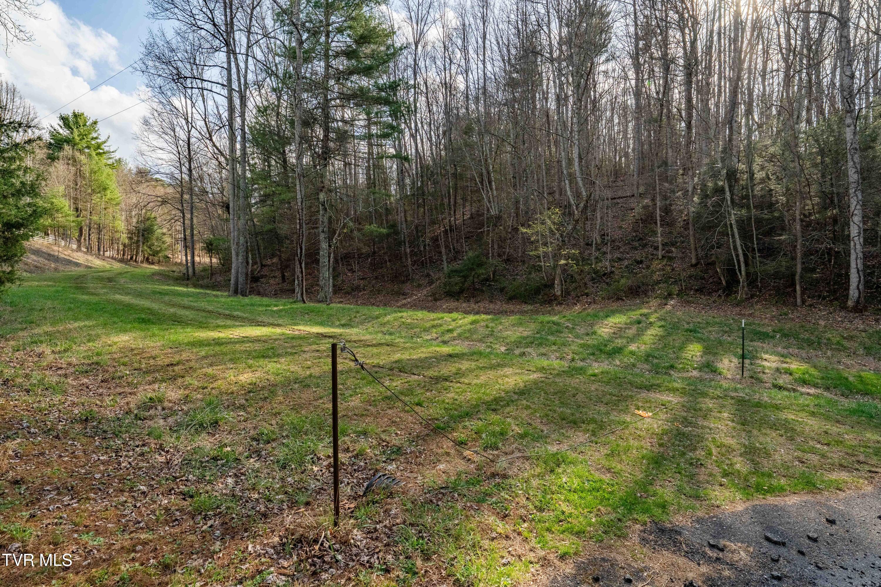 Tbd Big Dry Run Road Mountain City, TN 37683 - Photo 41 of 43 TBD Big Dry Run Rd (41)