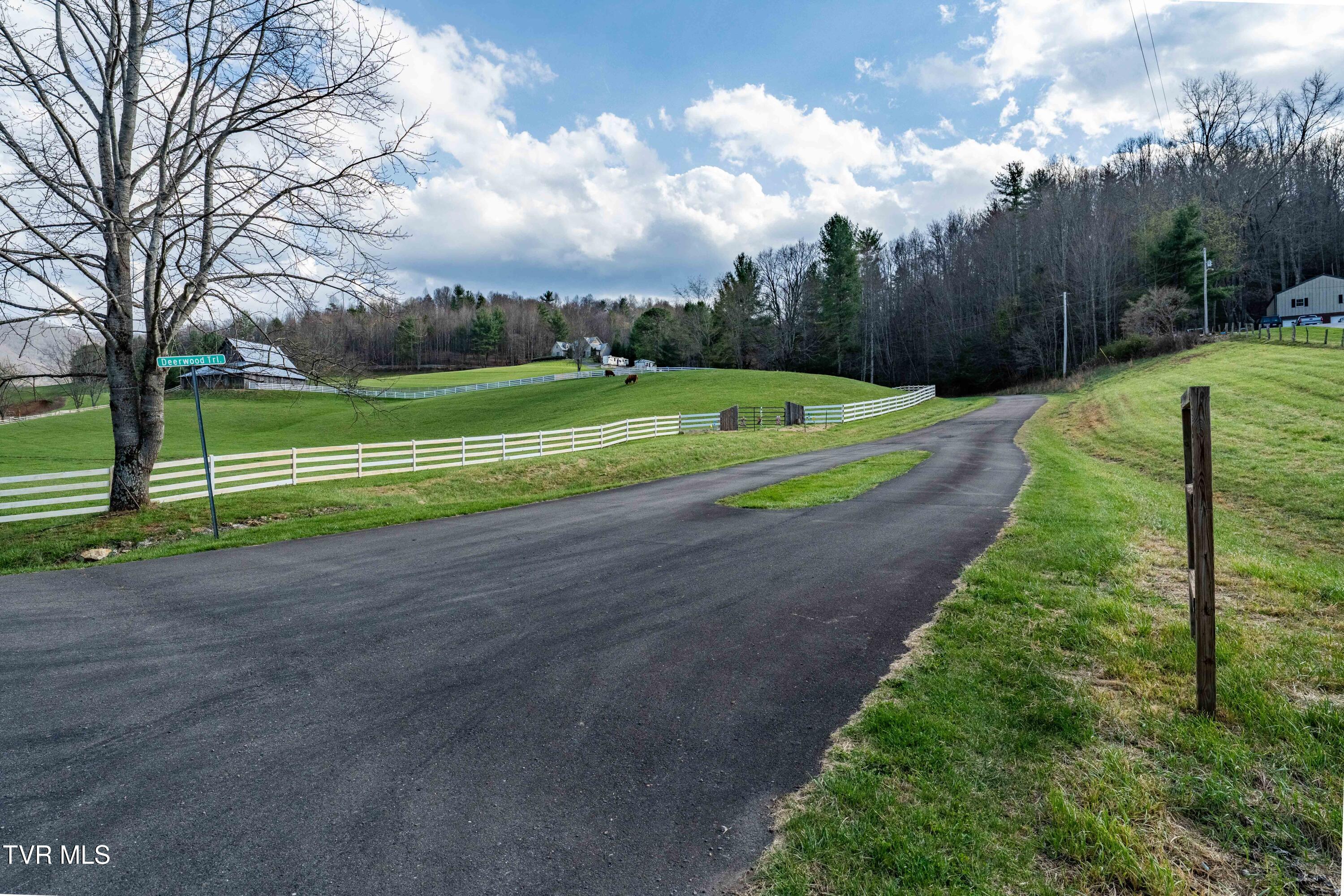 Tbd Big Dry Run Road Mountain City, TN 37683 - Photo 43 of 43 TBD Big Dry Run Rd (43)