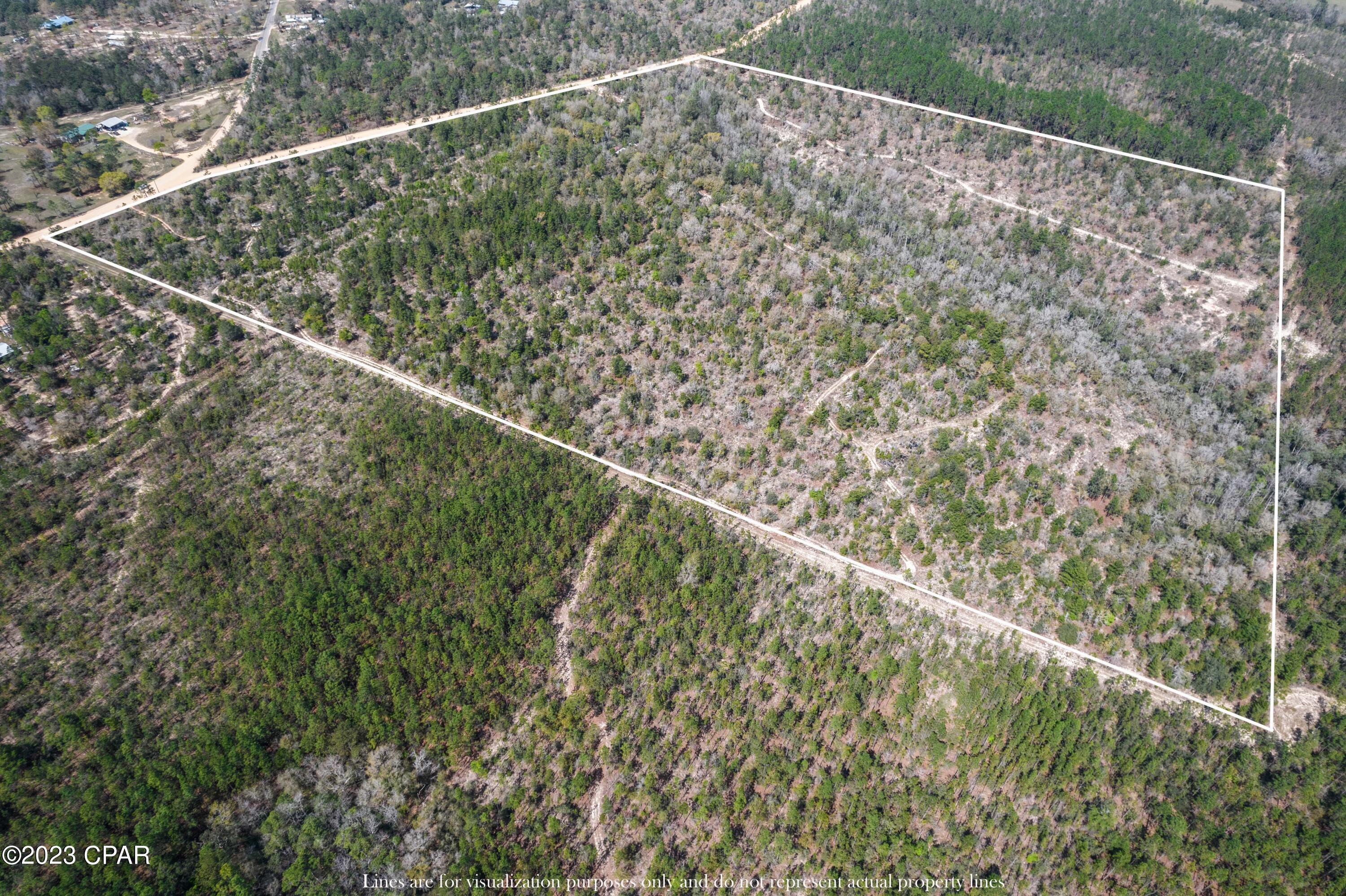 3477 Pine Logging Road Chipley, FL 32428 - Photo 8 of 25