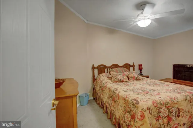 a bathroom with a shower and a toilet