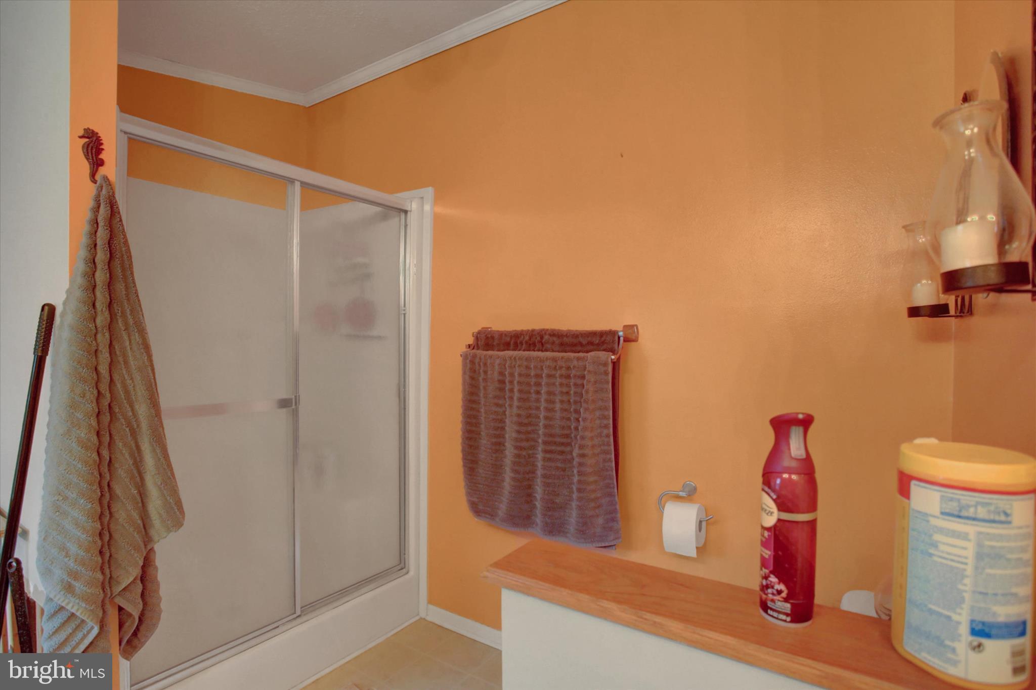 21571 Path Valley Road Dry Run, PA 17220 - Photo 38 of 63 a bathroom with a shower and a toilet