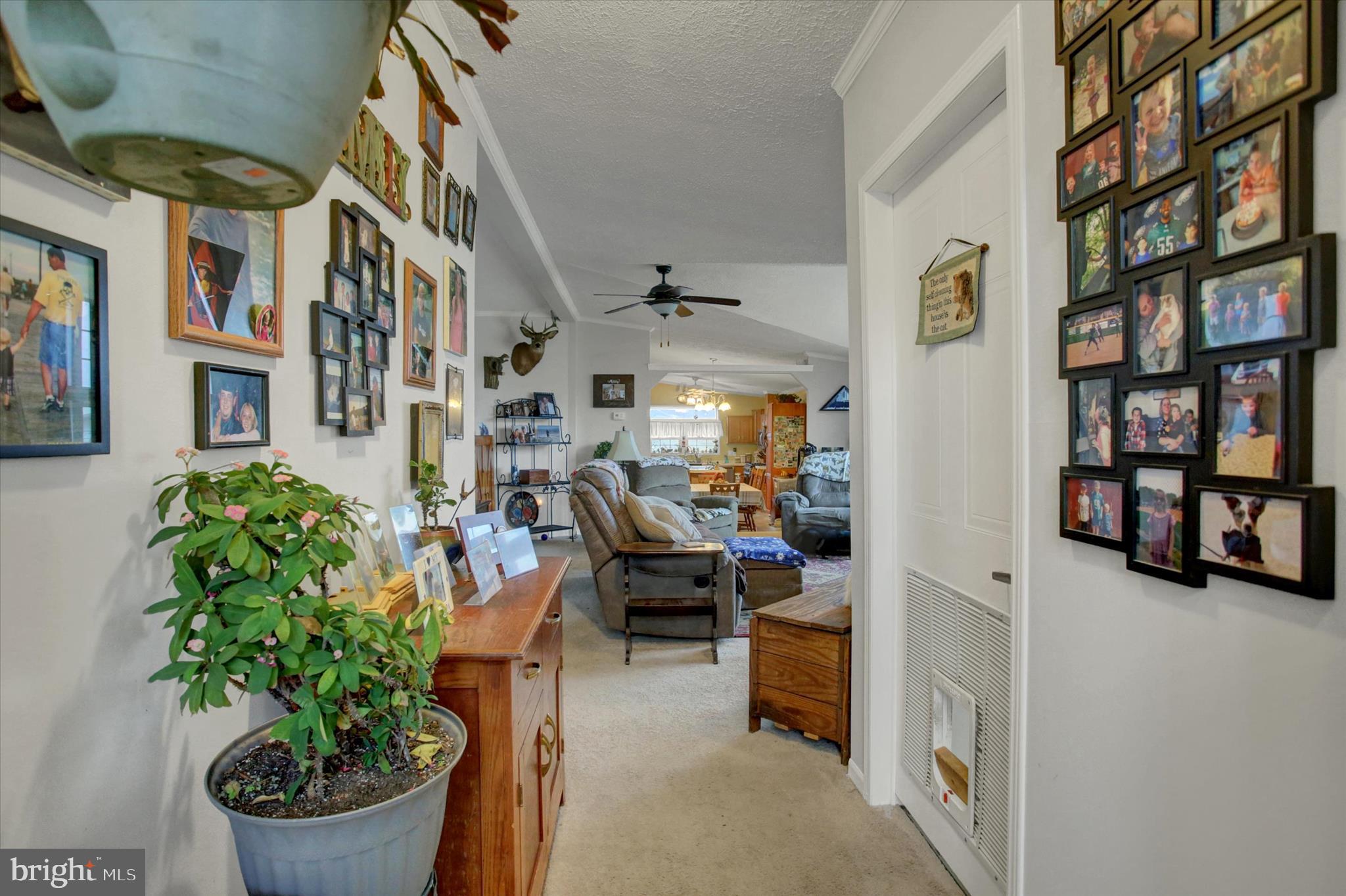 21571 Path Valley Road Dry Run, PA 17220 - Photo 7 of 63 a living room with furniture and a potted plant