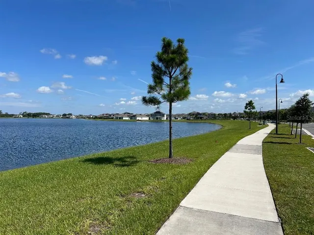 a view of a park with entertaining space
