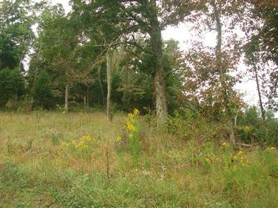 1999 Burton Williams Road Irvine, KY 40336 - Photo 31 of 47 Photo 32