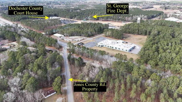 $25,000 | 0 Jones Country Road, St. George, SC 29477