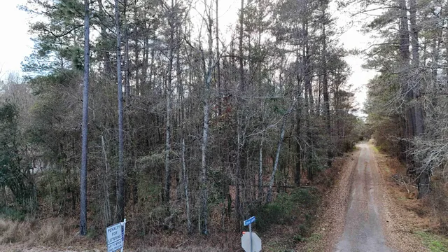 $25,000 | 0 Jones Country Road, St. George, SC 29477