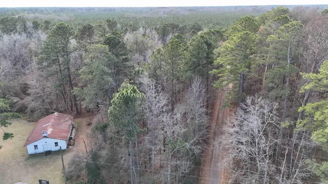 $25,000 | 0 Jones Country Road, St. George, SC 29477