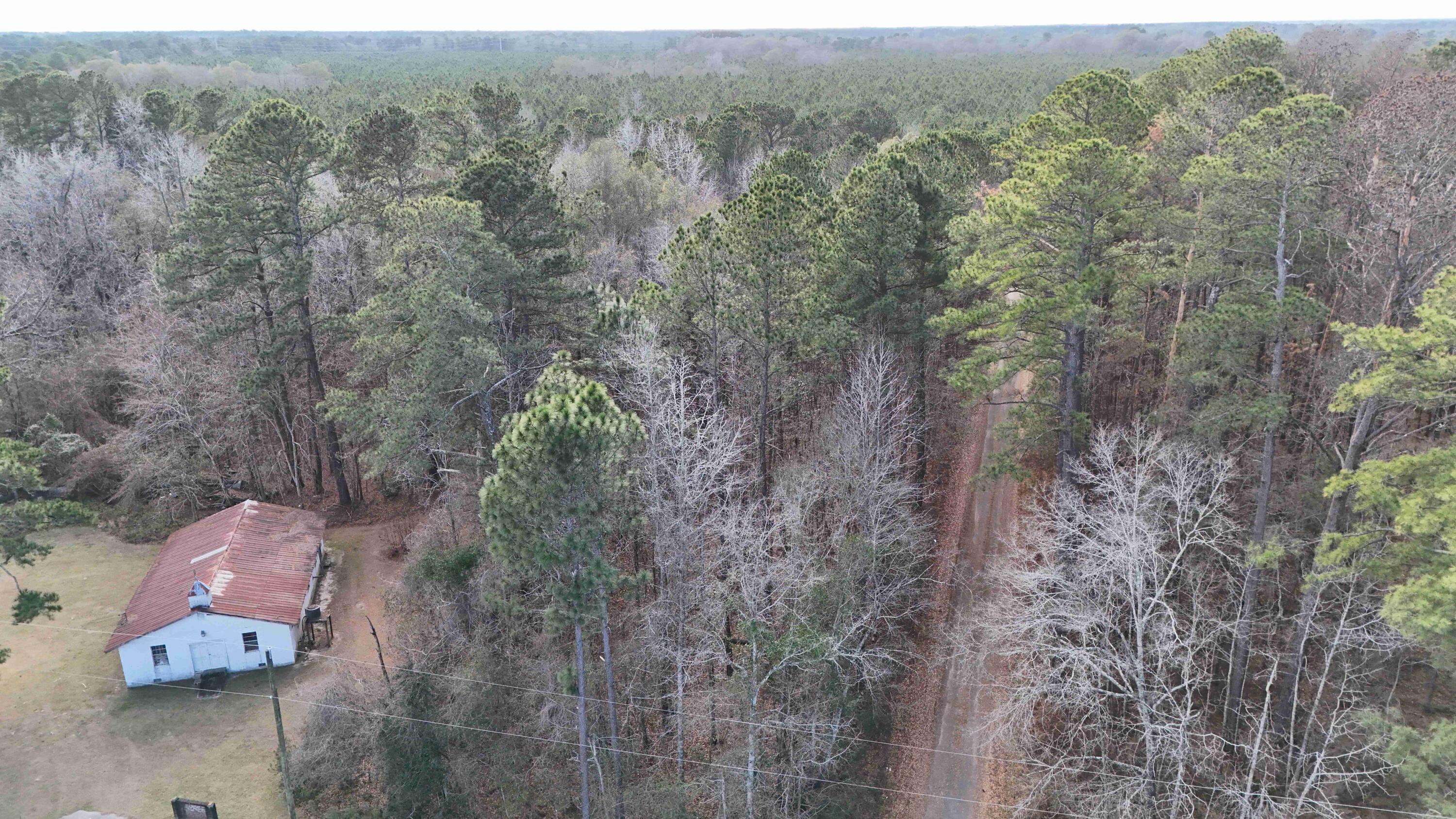 0 Jones Country Road St. George, SC 29477 - Photo 7 of 11 resize_dji_fly_20260117_150038_0339_1768