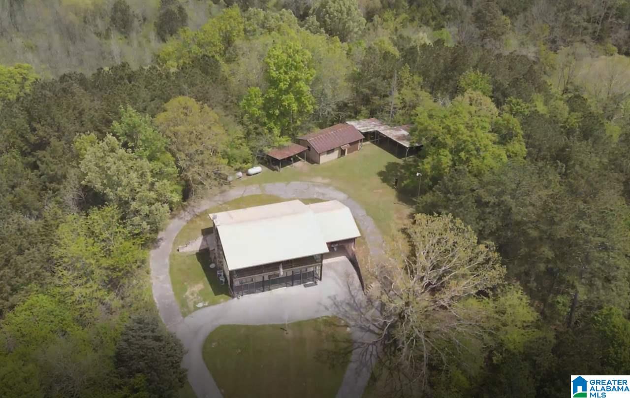 1391 Holland Finley Road Jacksonville, AL 36265 - Photo 39 of 40