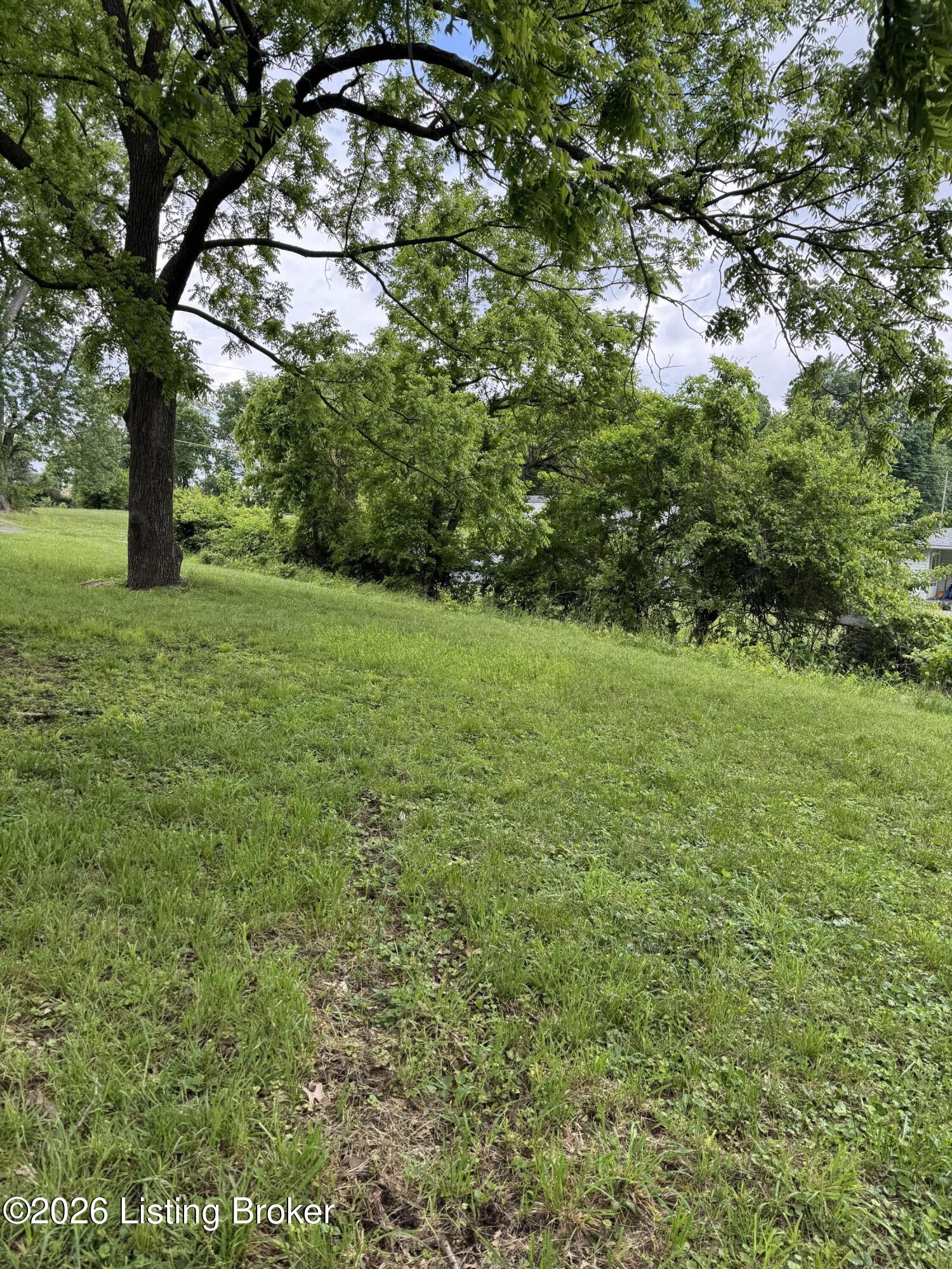 205 Alreva Road Louisville, KY 40216 - Photo 41 of 42 20K for 201 Alreva, separately deeded lot next door.