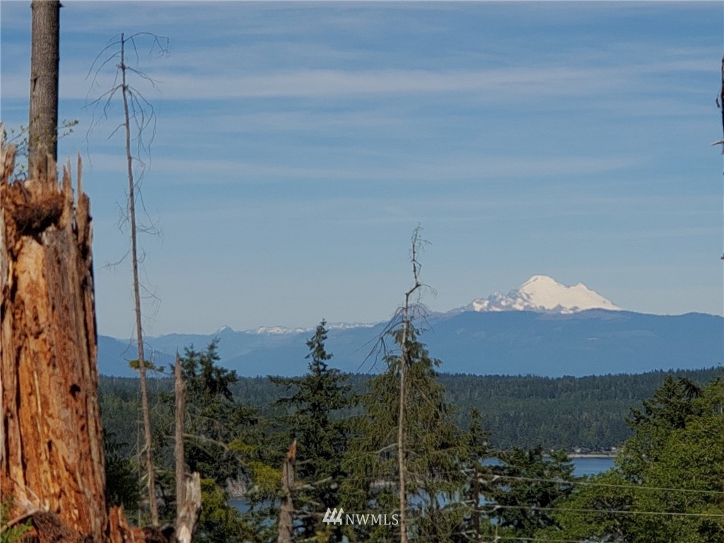 0 Jones Road Oak Harbor, WA 98277 - Photo 1 of 20 Gallery Image 1