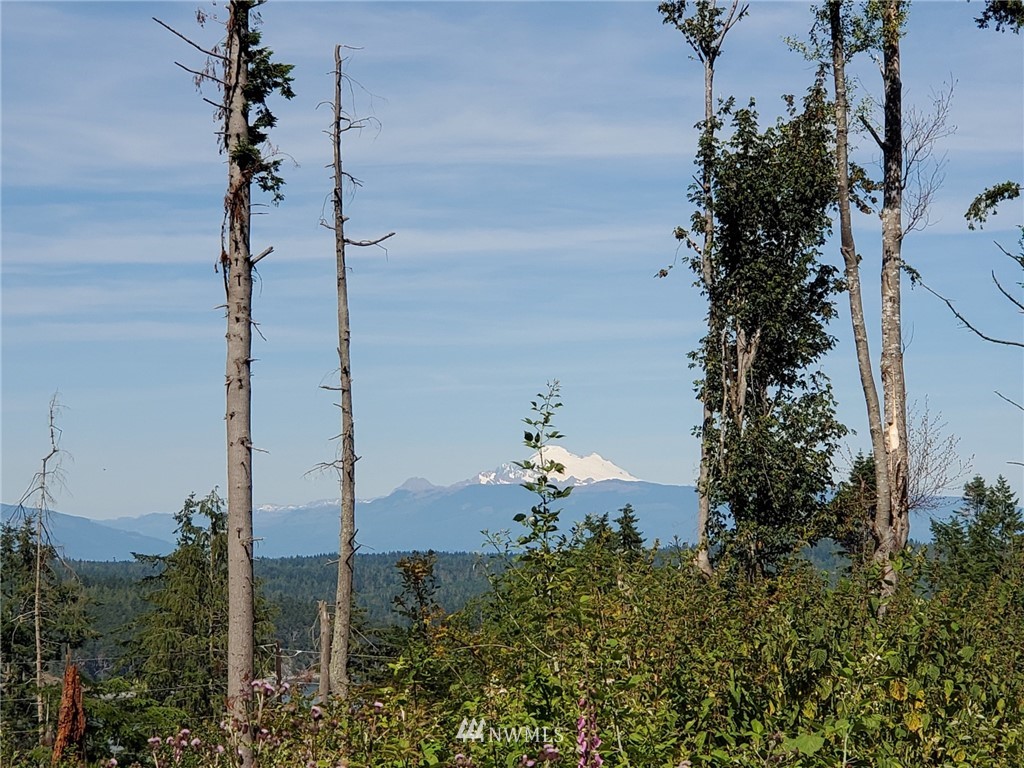 0 Jones Road Oak Harbor, WA 98277 - Photo 4 of 20 Gallery Image 4