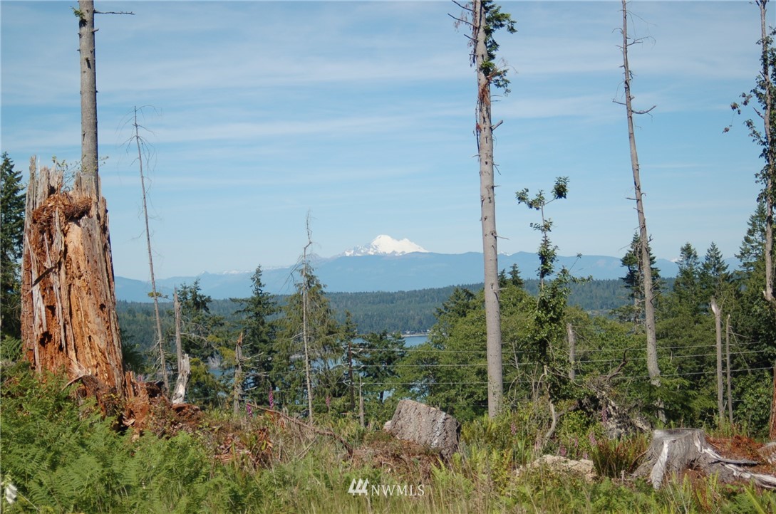 0 Jones Road Oak Harbor, WA 98277 - Photo 5 of 20 Gallery Image 5
