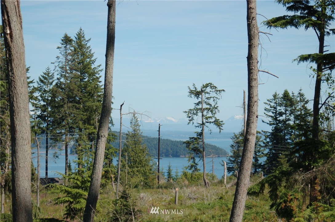 0 Jones Road Oak Harbor, WA 98277 - Photo 6 of 20 Gallery Image 6