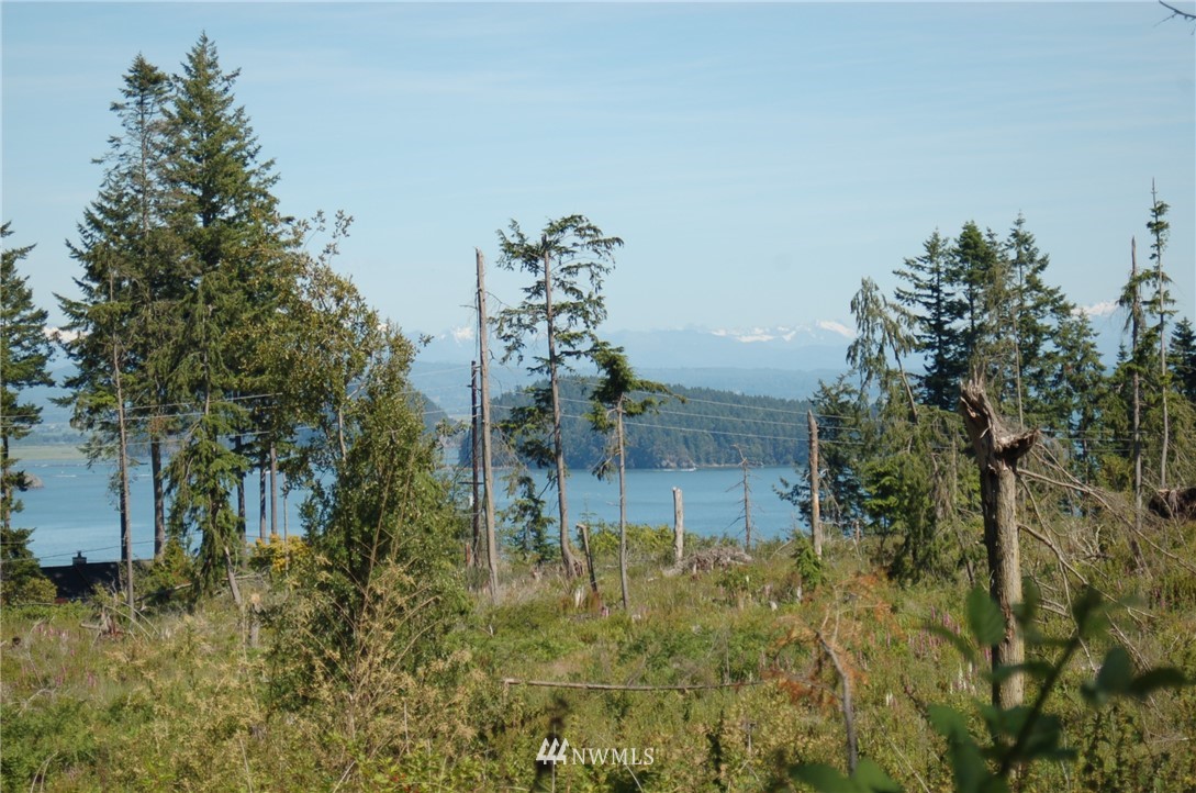 0 Jones Road Oak Harbor, WA 98277 - Photo 7 of 20 Gallery Image 7