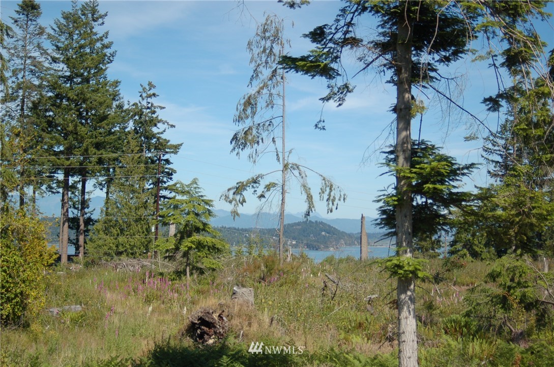 0 Jones Road Oak Harbor, WA 98277 - Photo 10 of 20 Gallery Image 10