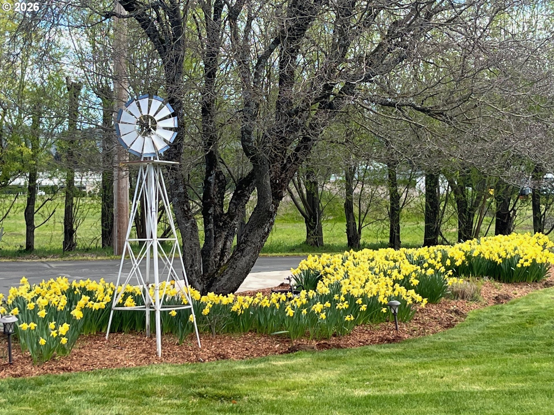 870 Hobbs Road Hood River, OR 97031 - Photo 3 of 48 Yard