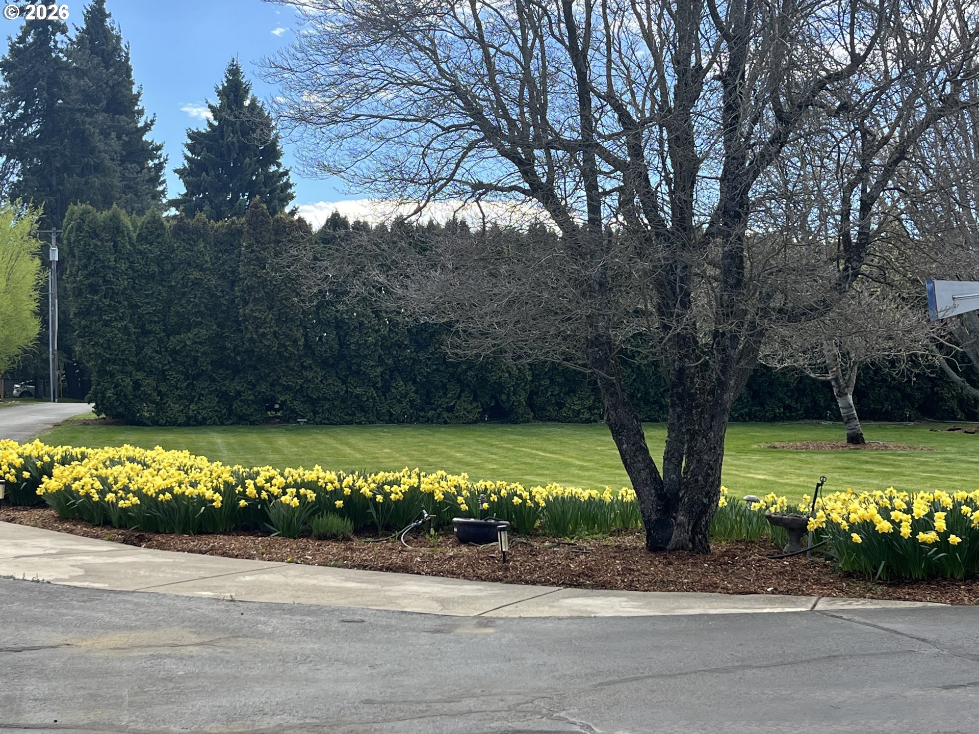 870 Hobbs Road Hood River, OR 97031 - Photo 44 of 48 Driveway